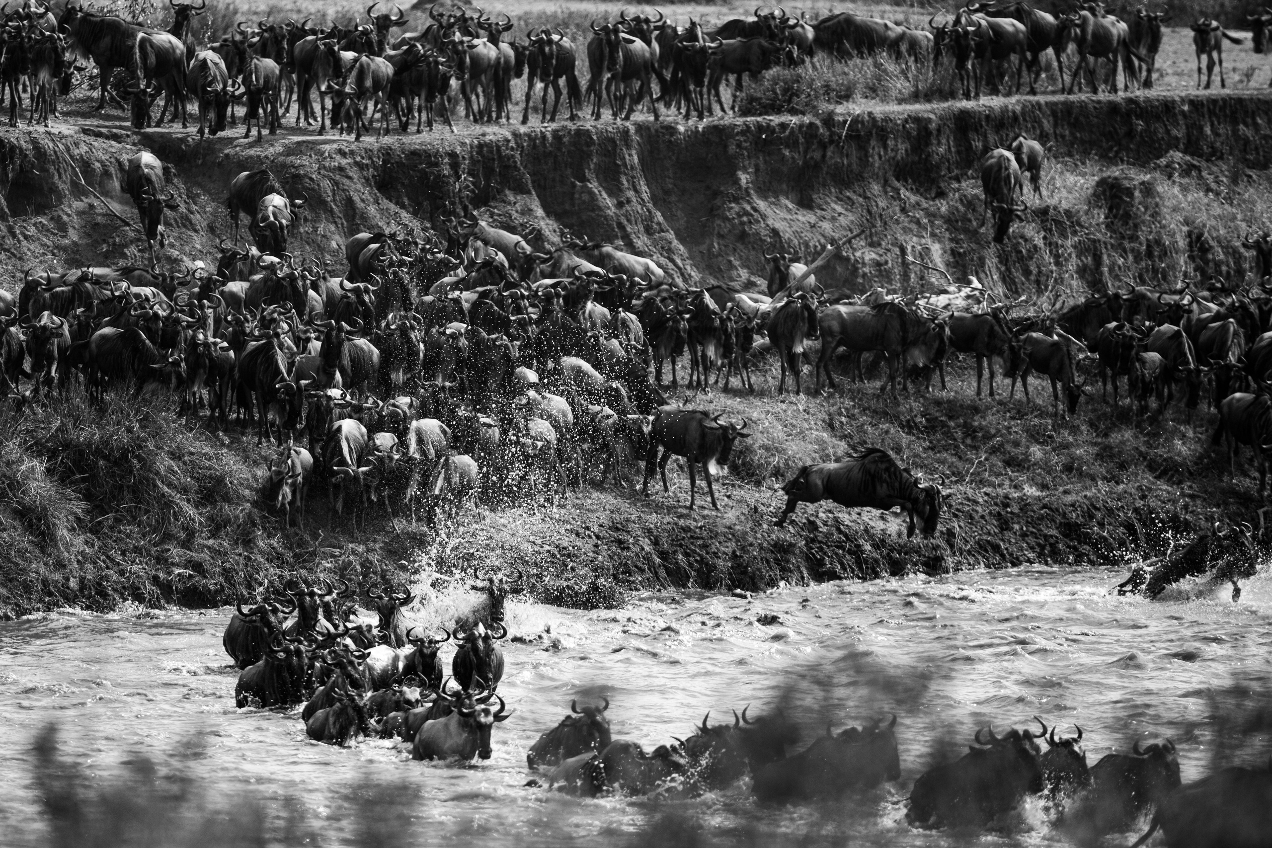 Танзания. Добродеева Алла фотограф, Москва