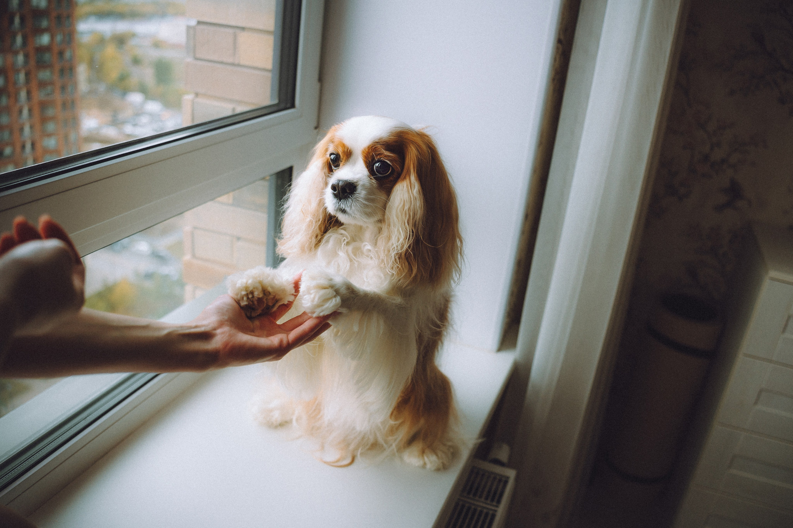 Наташа и Вики