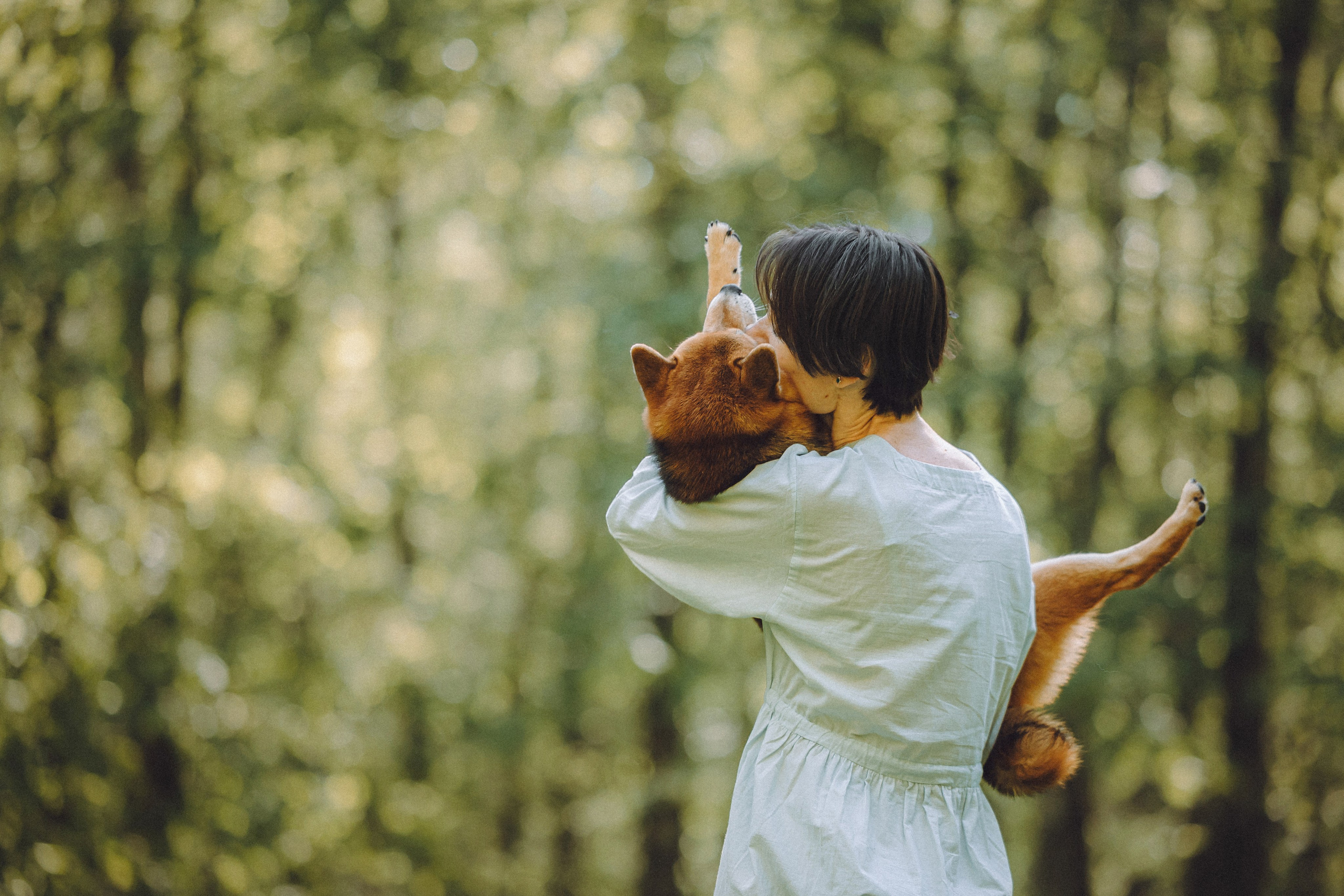 Шед, Цири, Чиби, Цера и их семья