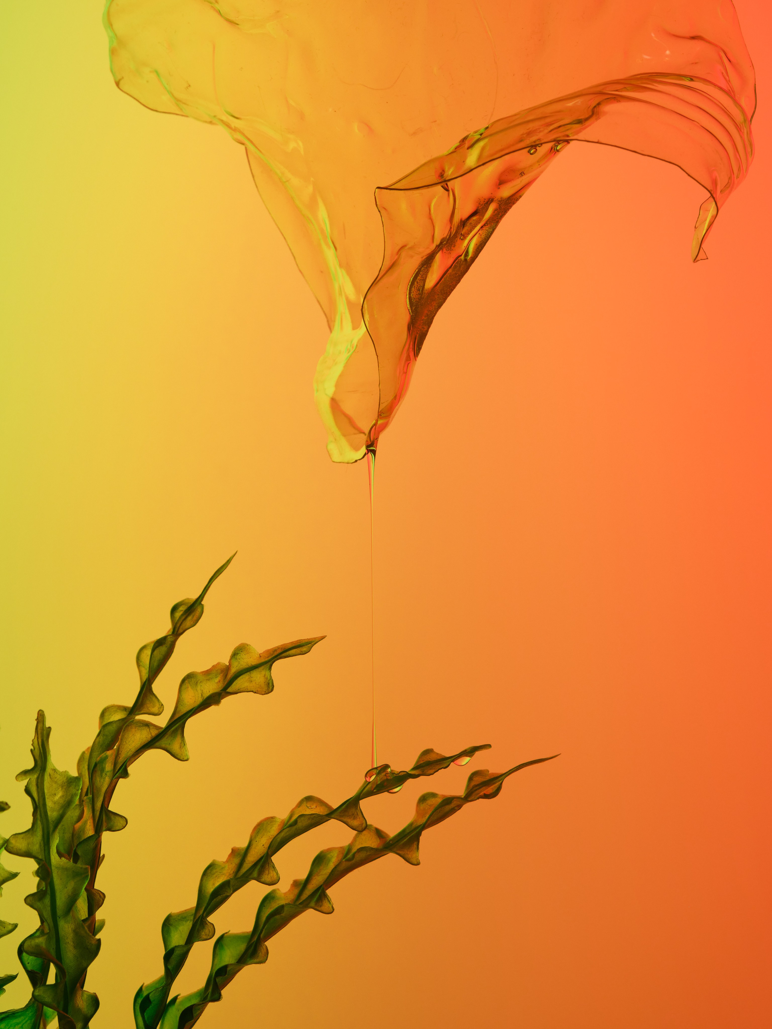 Фотографии для интерьеров. Предметный фотограф в Москве Анастасия Шаронина