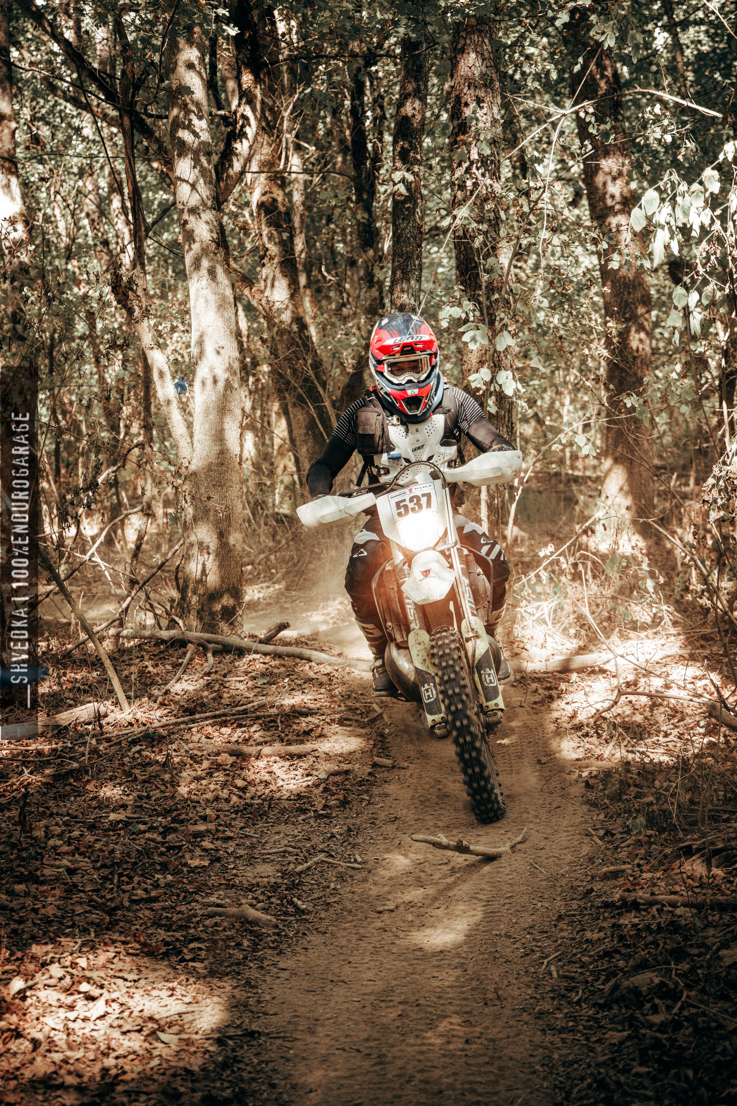 1 лесной день. Ваш экстрим фотограф Кудрева Яна