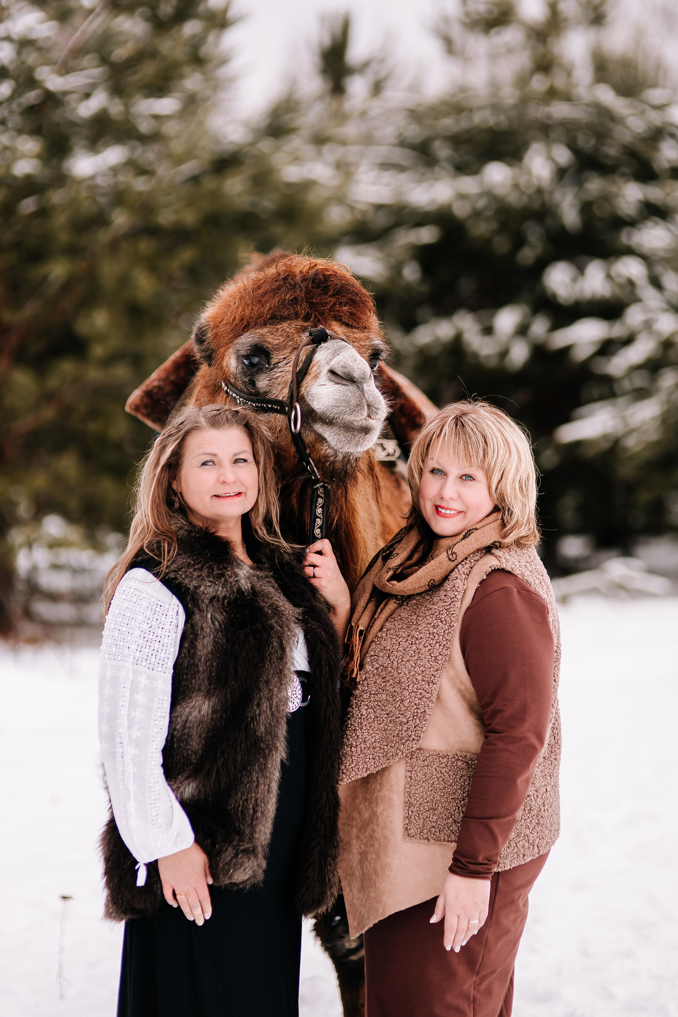 Леденящее приключение. Фотосессии Фотодни Псков СПб