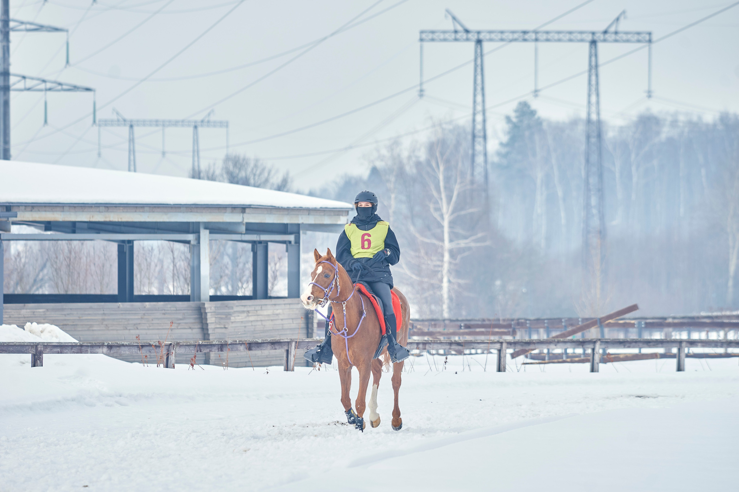 HORSE RACING. Фотограф Наталья Леонова