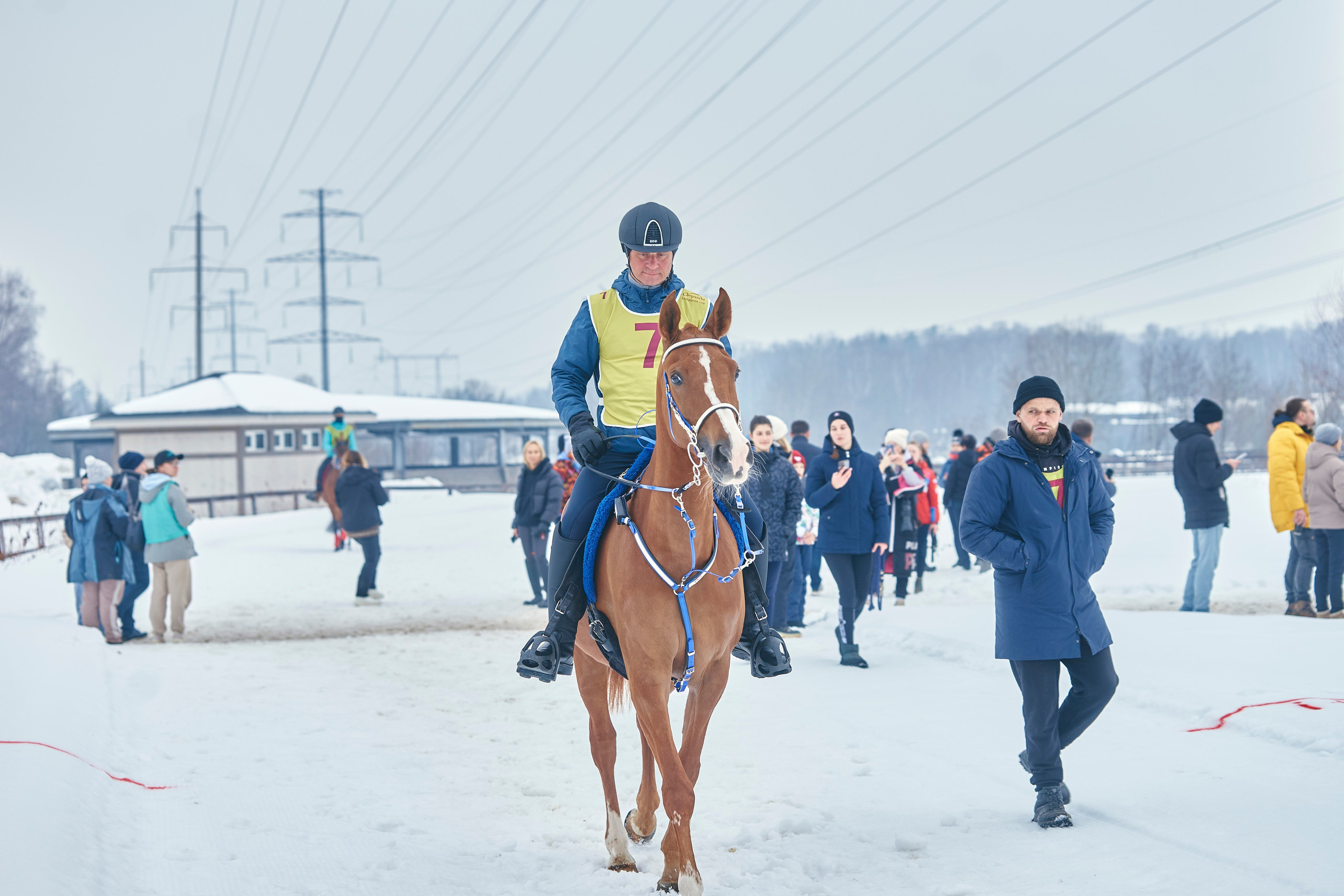 HORSE RACING. Фотограф Наталья Леонова