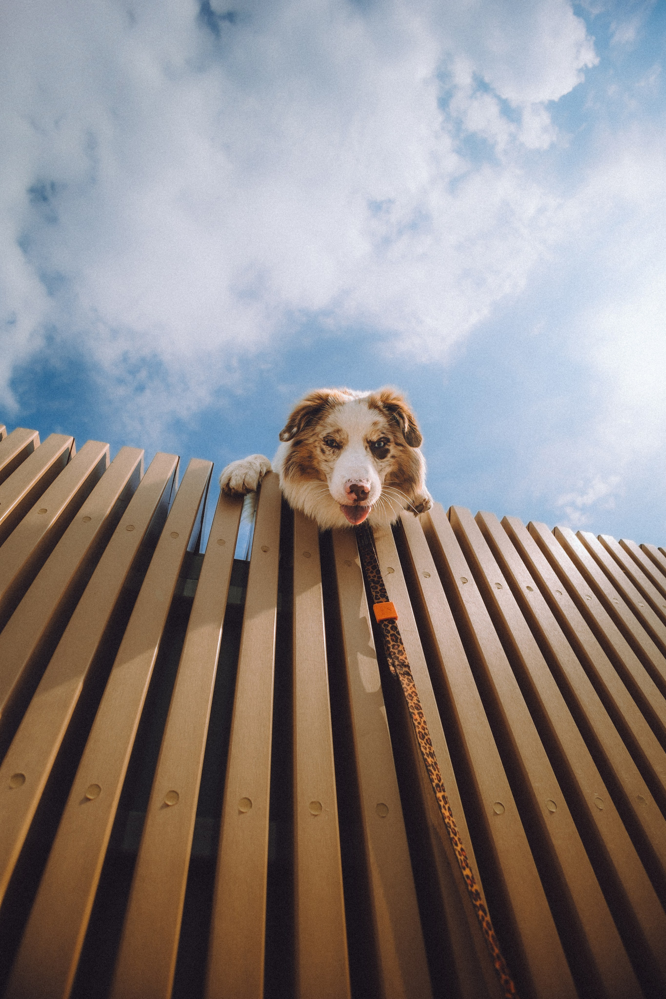 Один и его семья