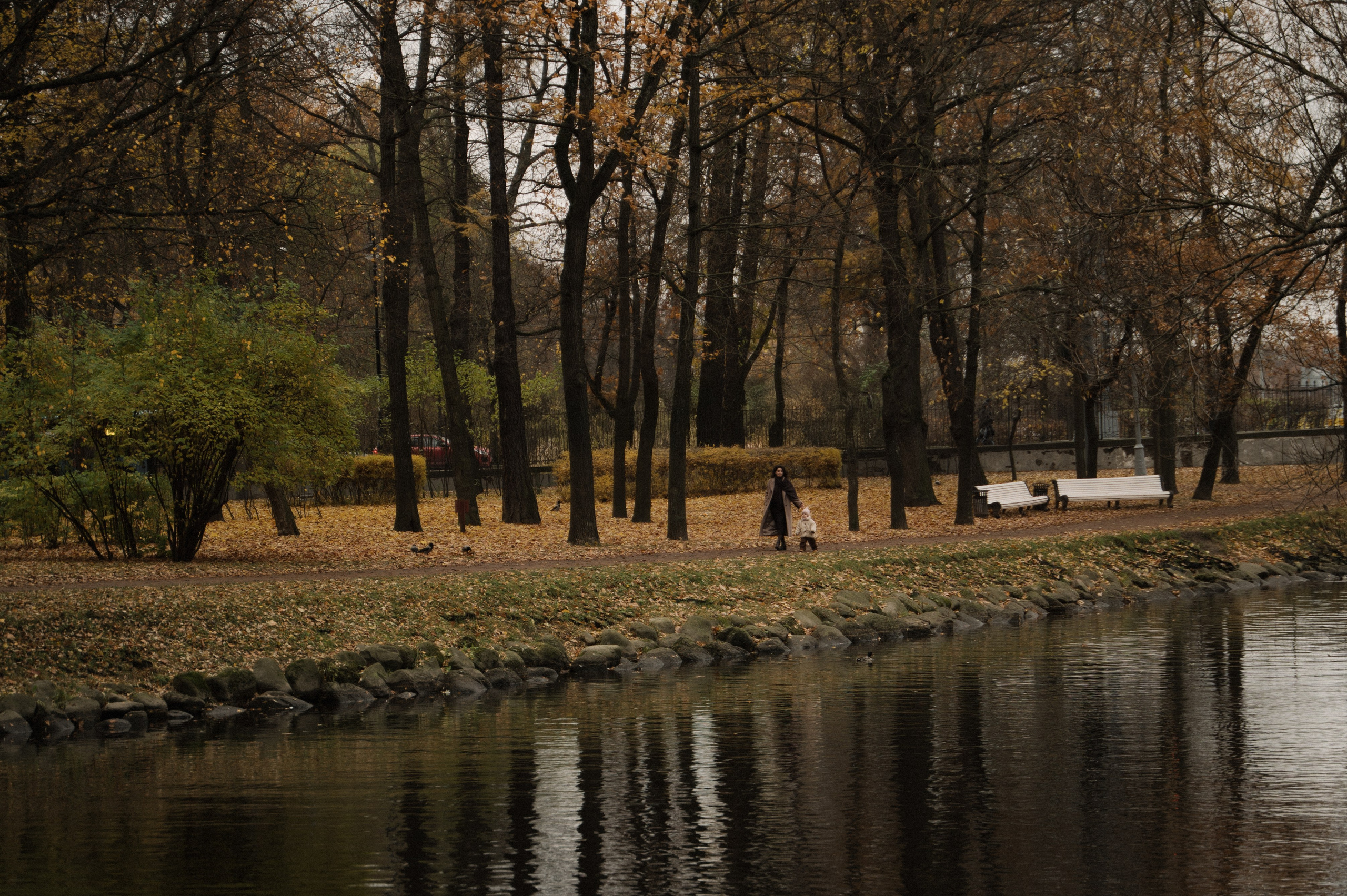 Осенняя история. Эльвира Жижикина. Семейный фотограф в Санкт-Петербурге