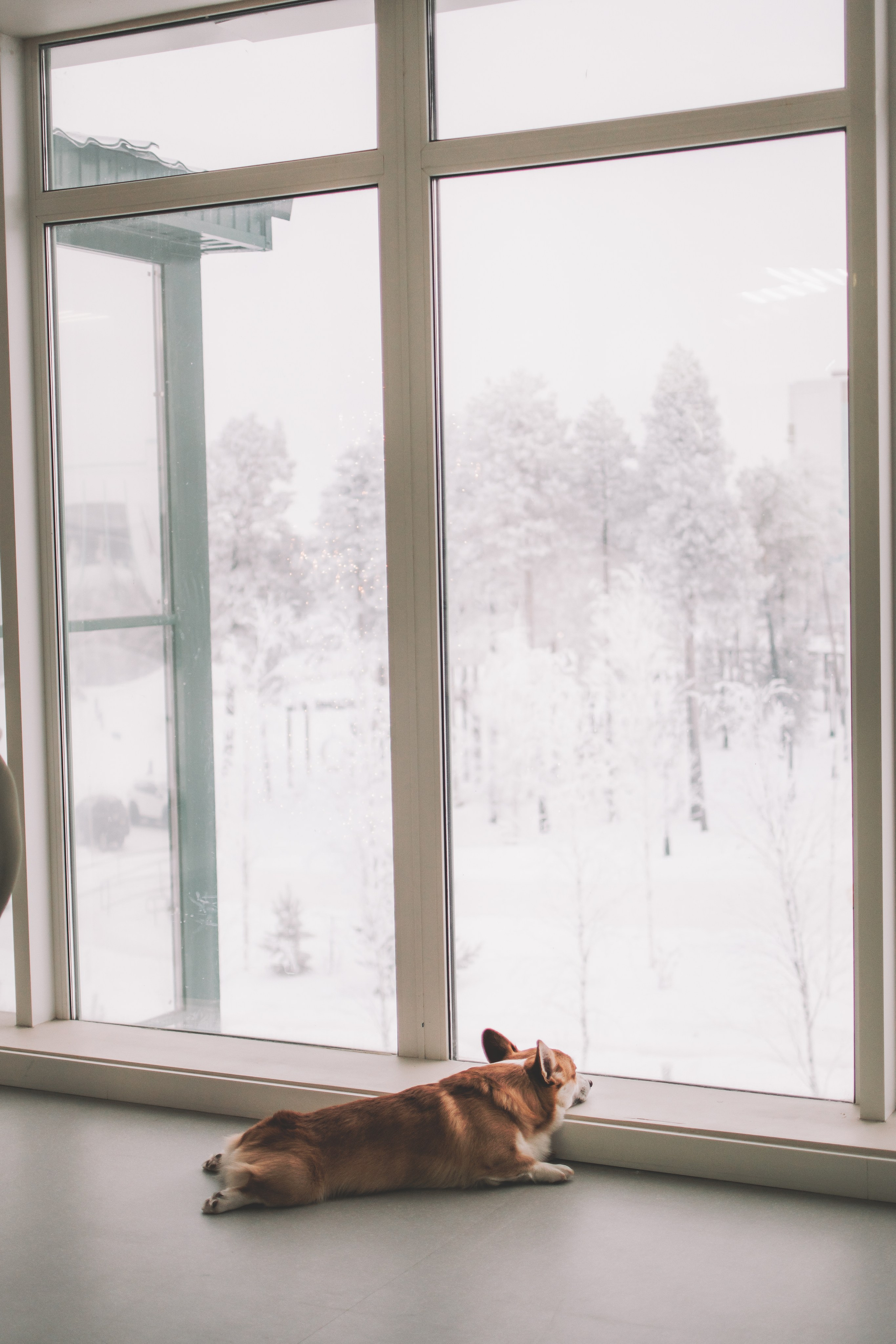 Степан и Анастасия. Семейный и свадебный фотограф Губкинский и Ставрополь