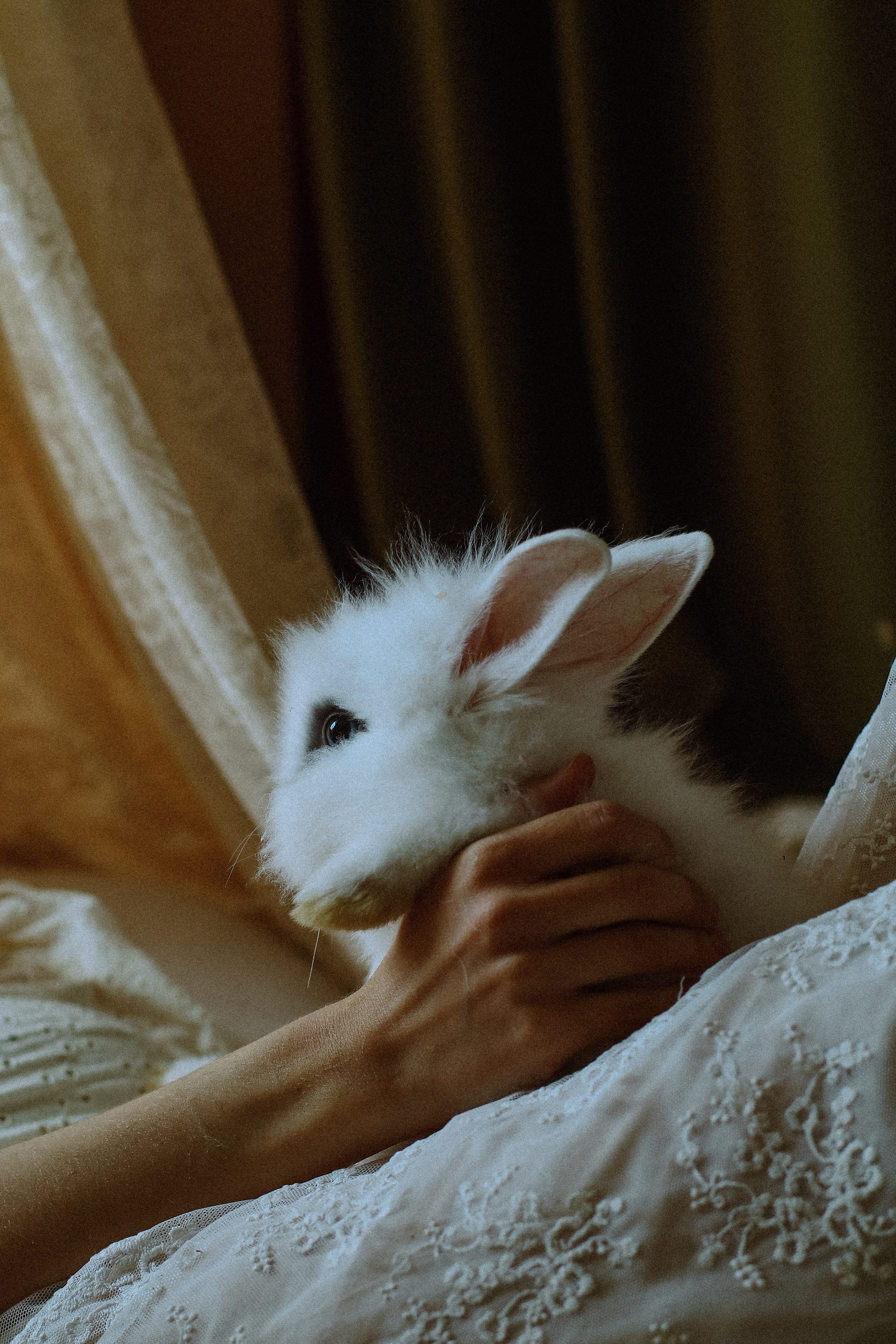 Детская семейная фотосессия. Фотограф и видеограф Анастасия Витюкова | Екатеринбург