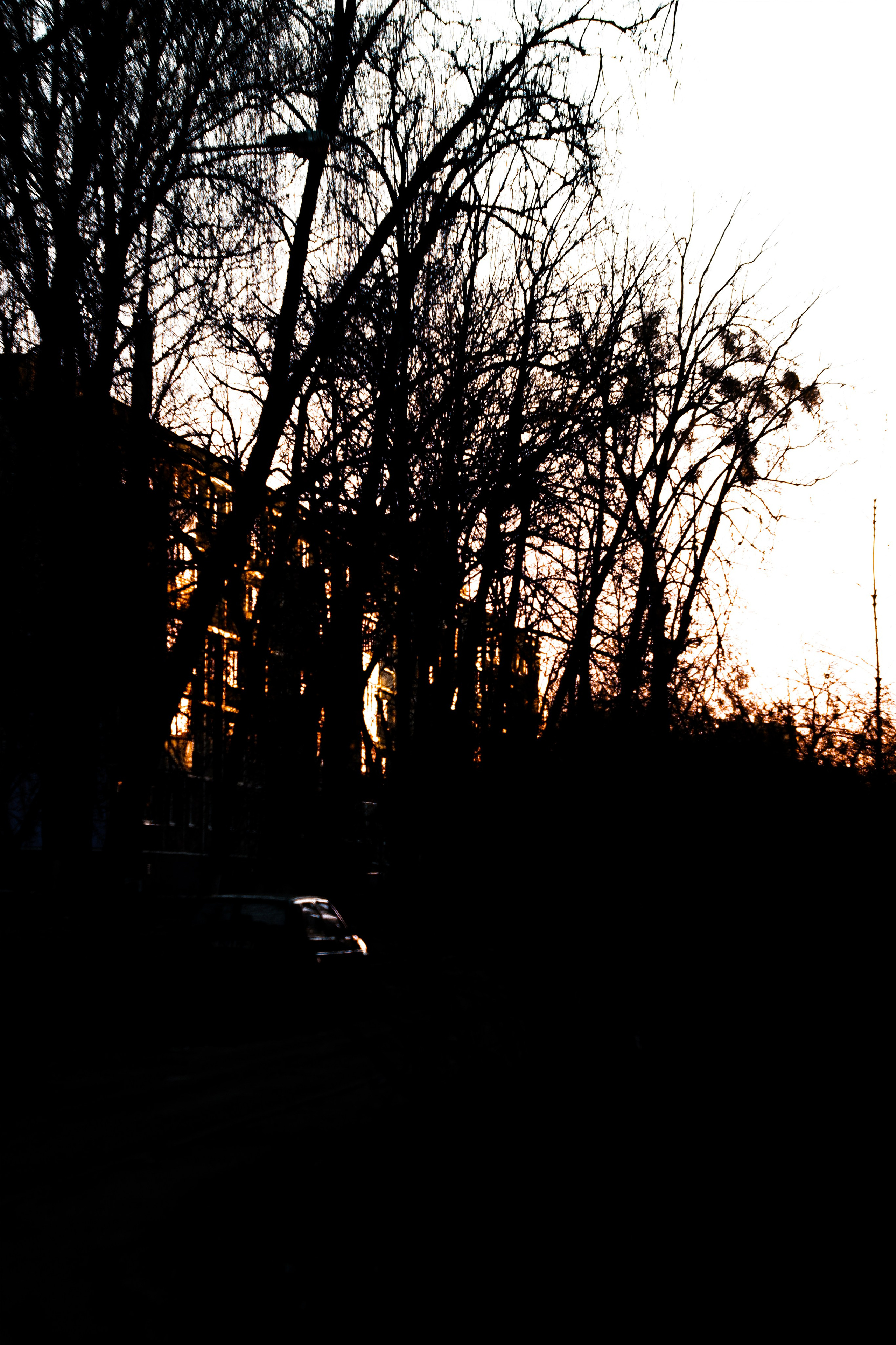 Street photo. Фотограф (photographer) Lischinski Vitaliy