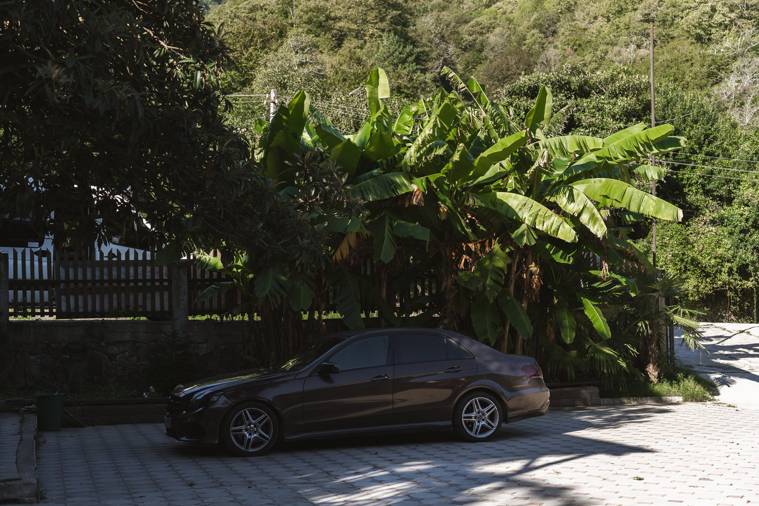 Фотографии из поездки в Абхазию. Предметный фотограф Санкт-Петербург