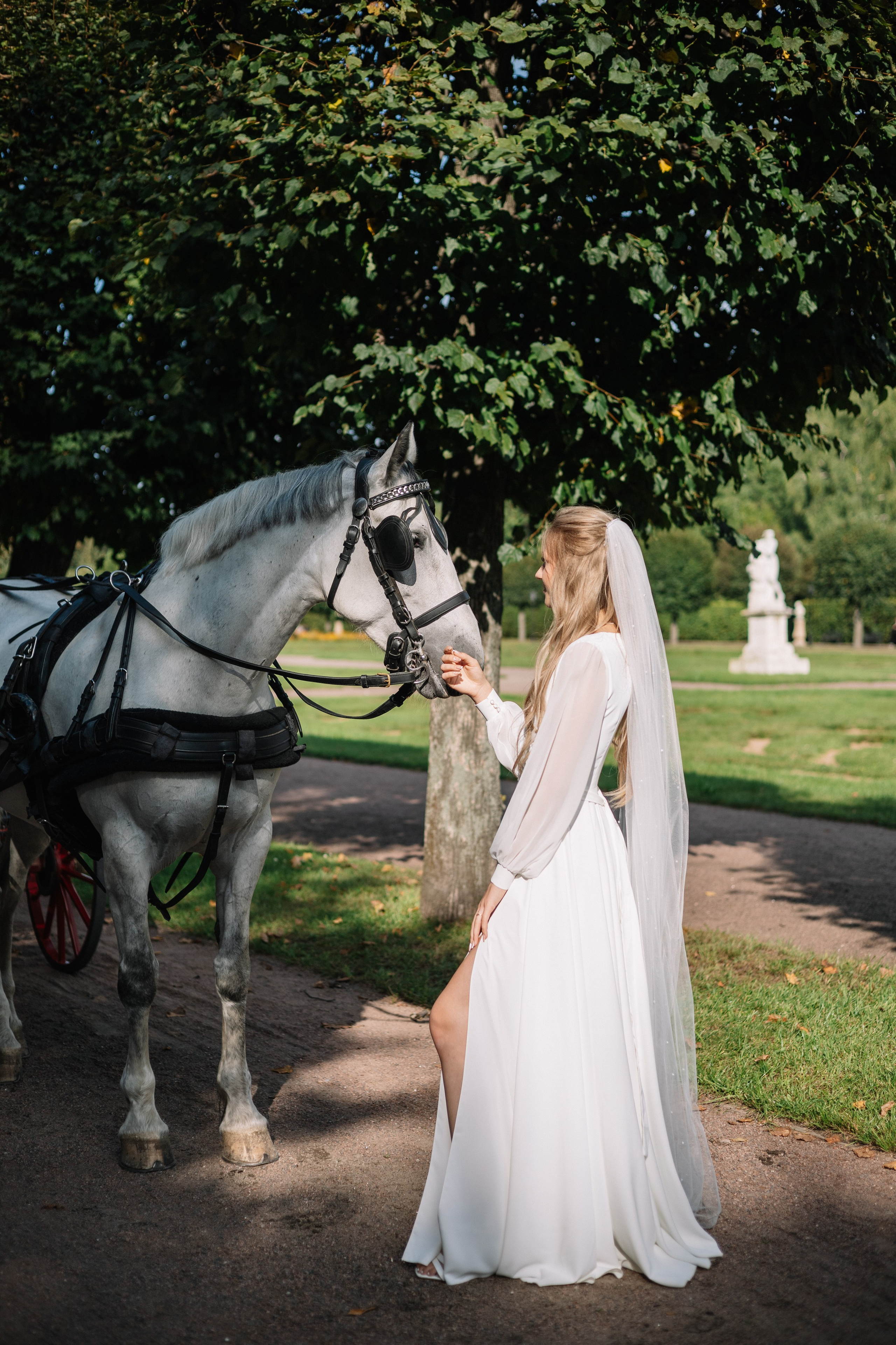 Полина и Иван. Анастасия — ФОТОГРАФ