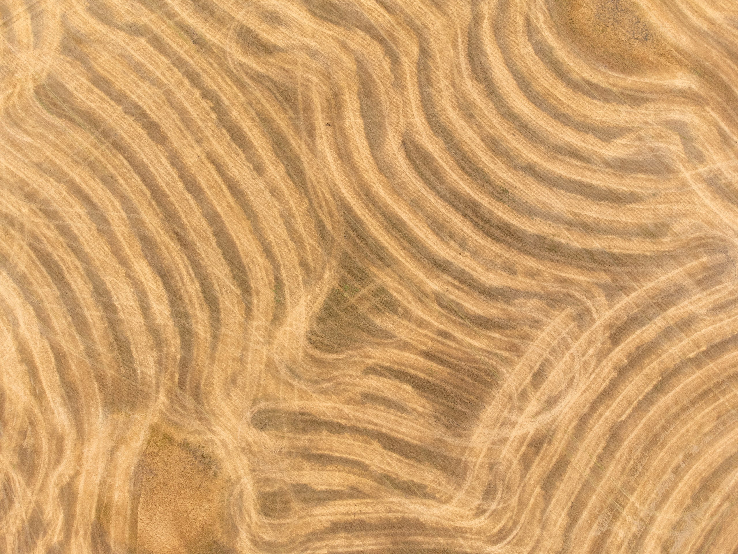 Курганская область. Daria wanderer photography