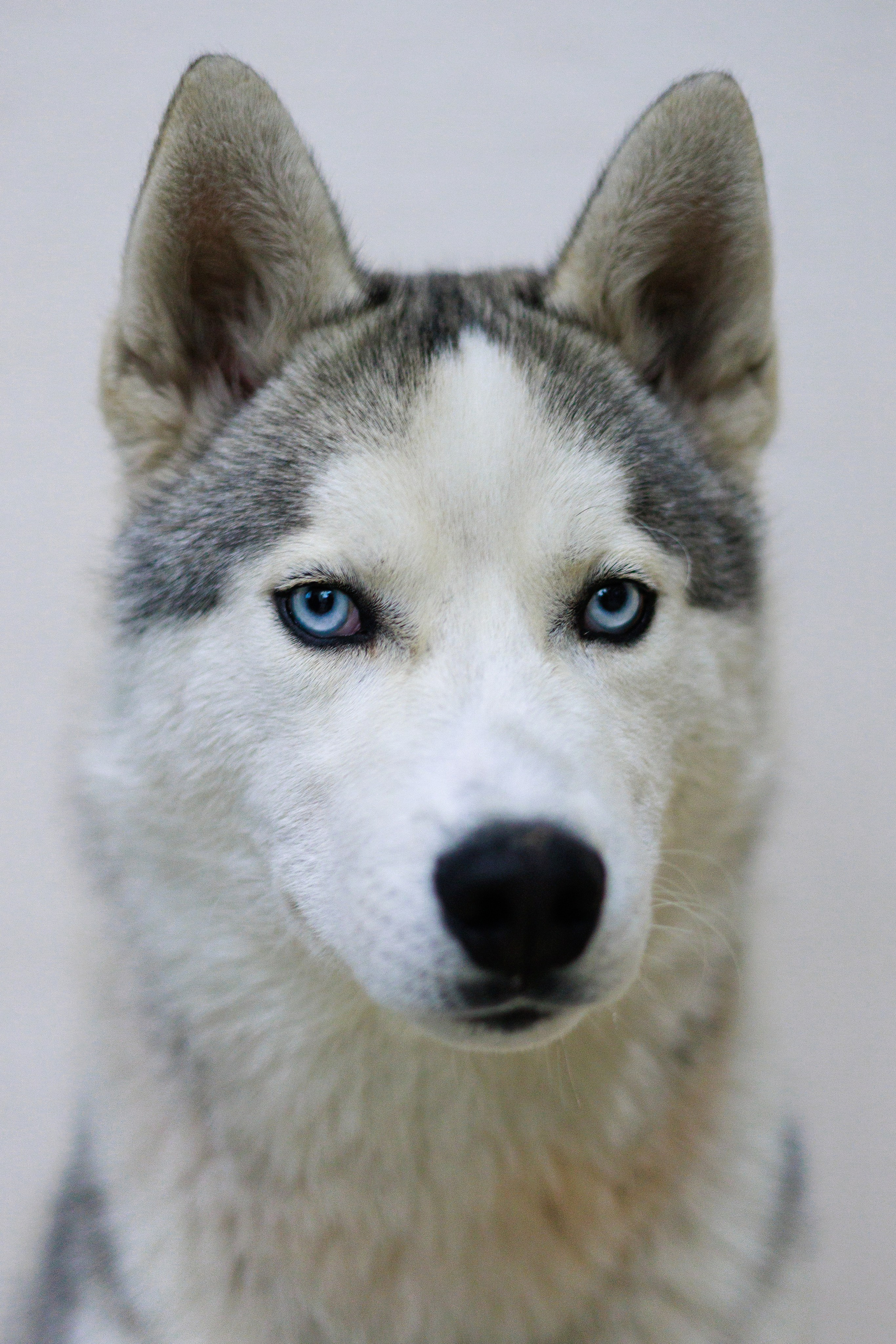 Выставки. Фотограф Марк Файзулин