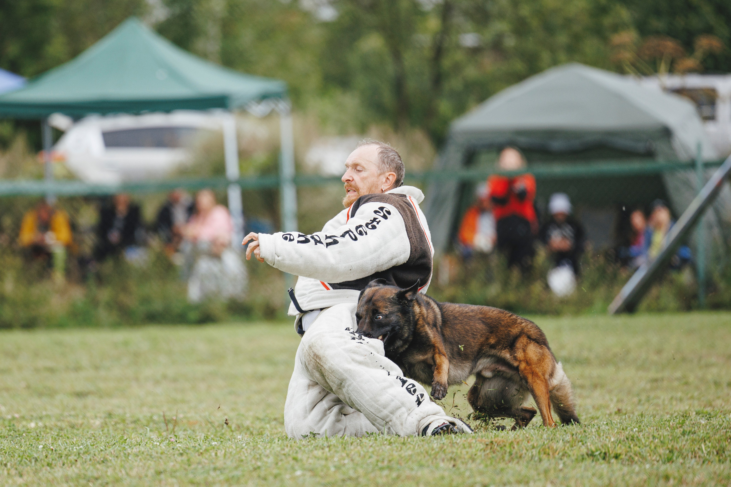 08.08.25-10.08.25 ЧР по мондьорингу г. Вологда. Фотограф-анималист Анна Маринич