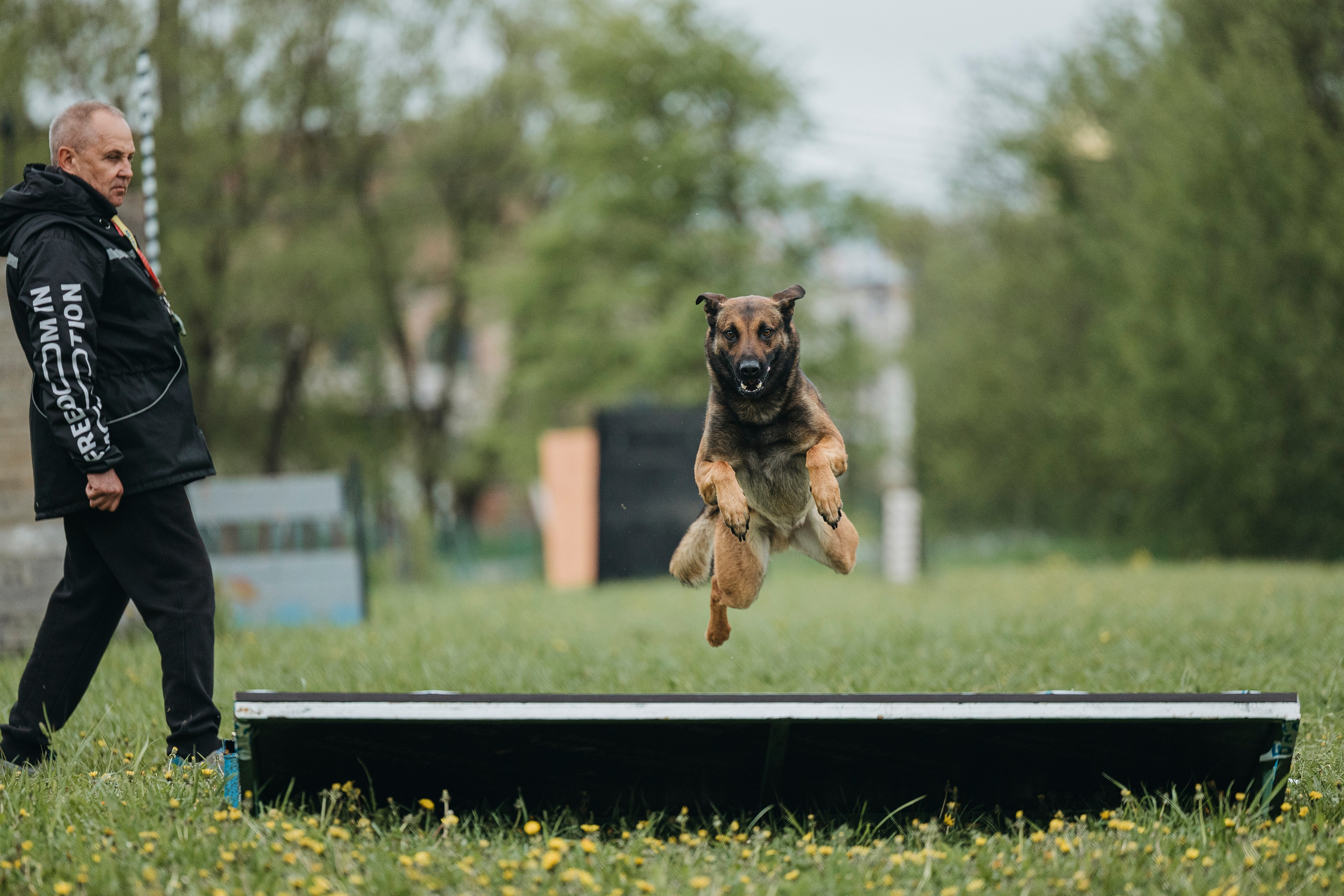 26.05.25 г. Пушкин квалификационные соревнования. Фотограф-анималист Анна Маринич