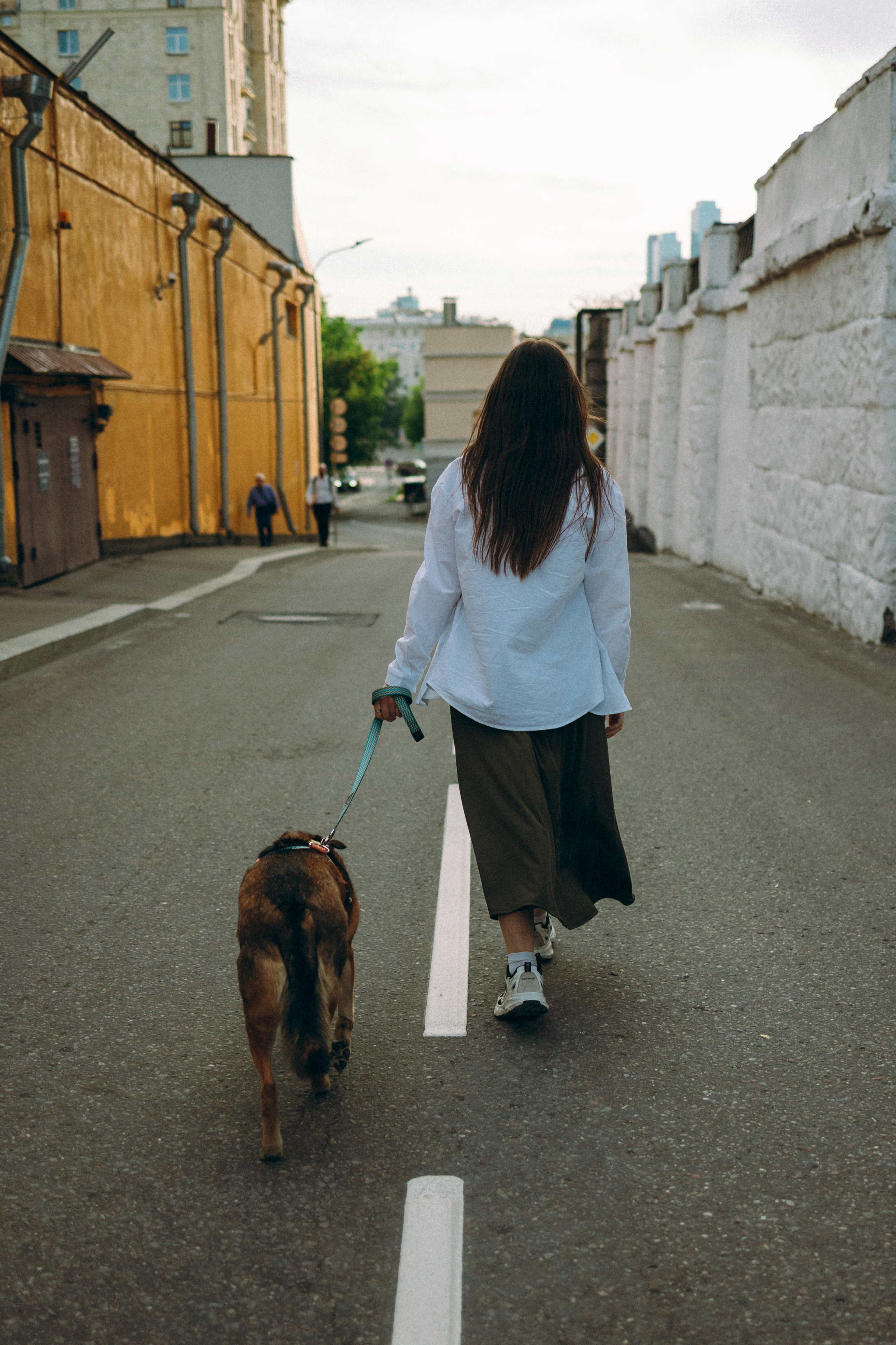 Глаша, Айрон, Ксюша и Оля. Фотограф анималист Анастасия Пикей