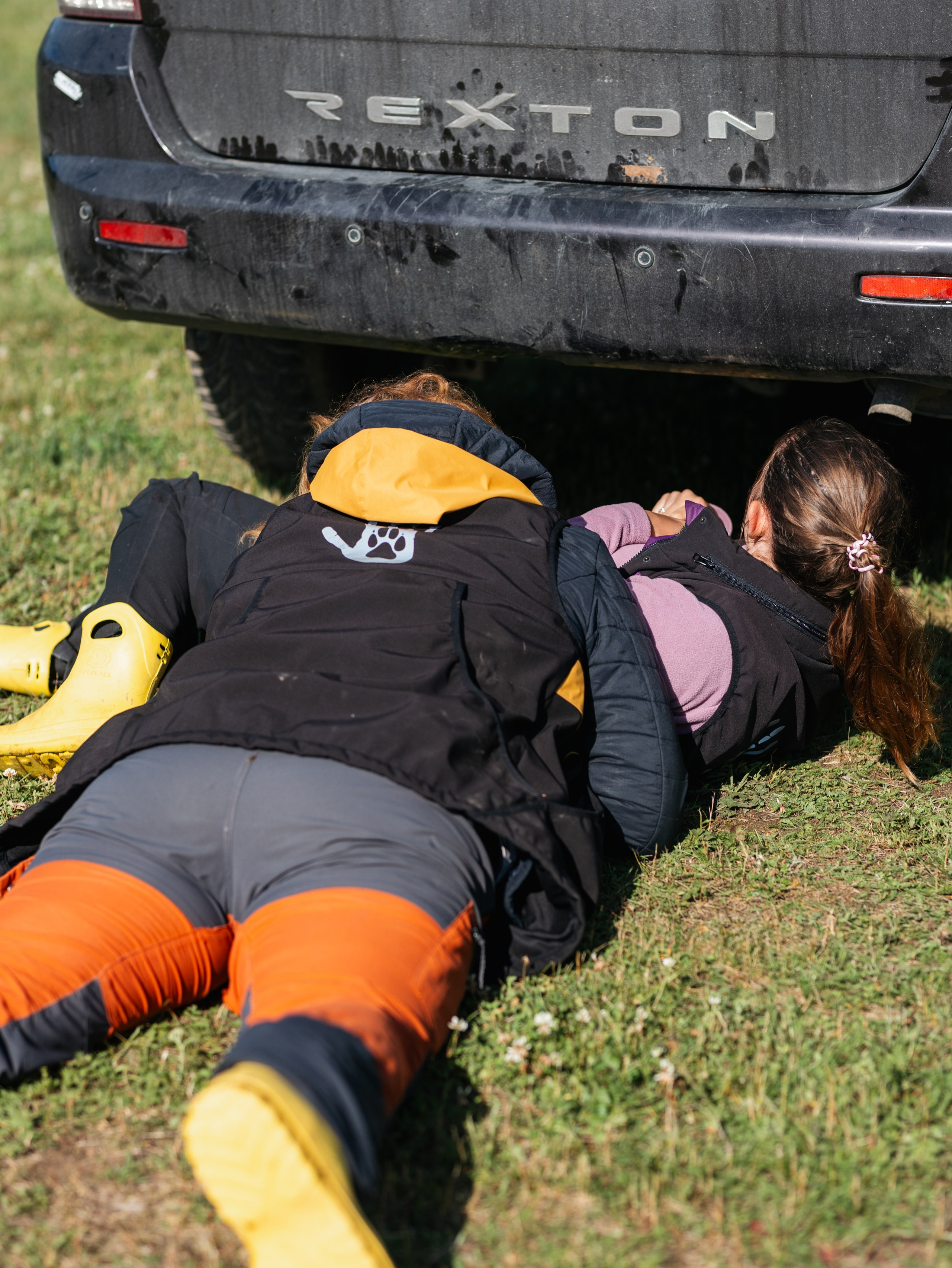 Лагерь ноузворк. Фотограф-анималист в Москве Кириллова Татьяна