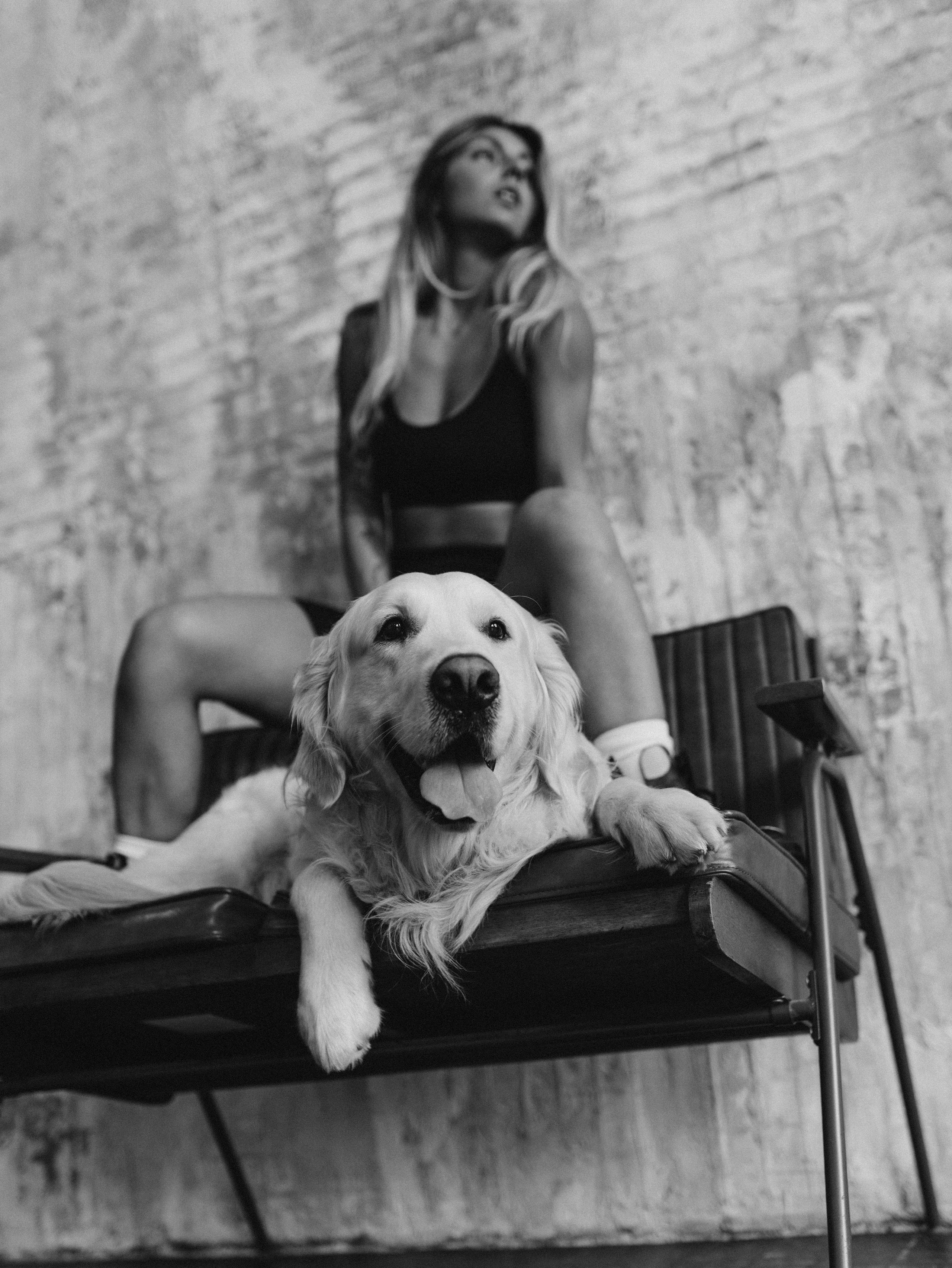 Энди и Настя. Фотограф-анималист в Москве Кириллова Татьяна