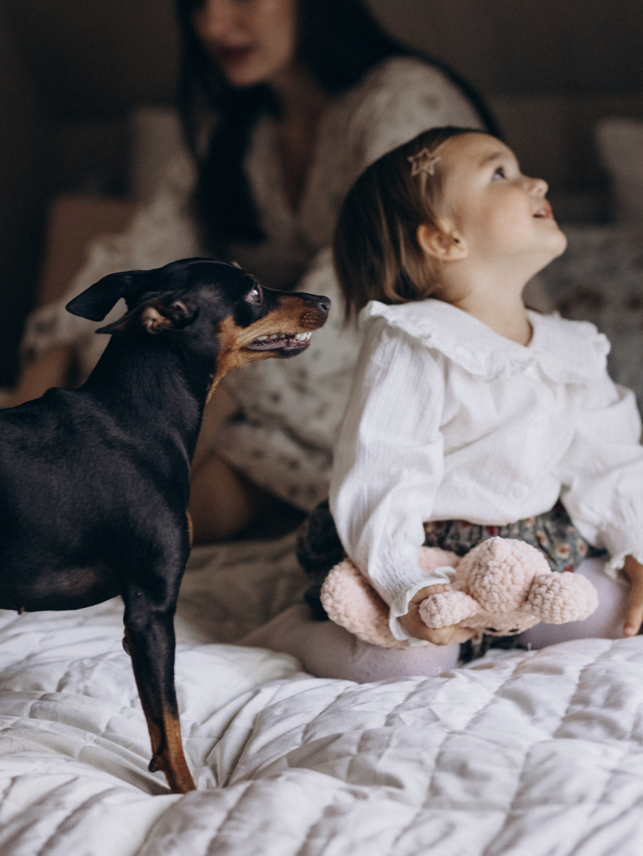 Теплая осень. Фотограф-анималист в Москве Кириллова Татьяна