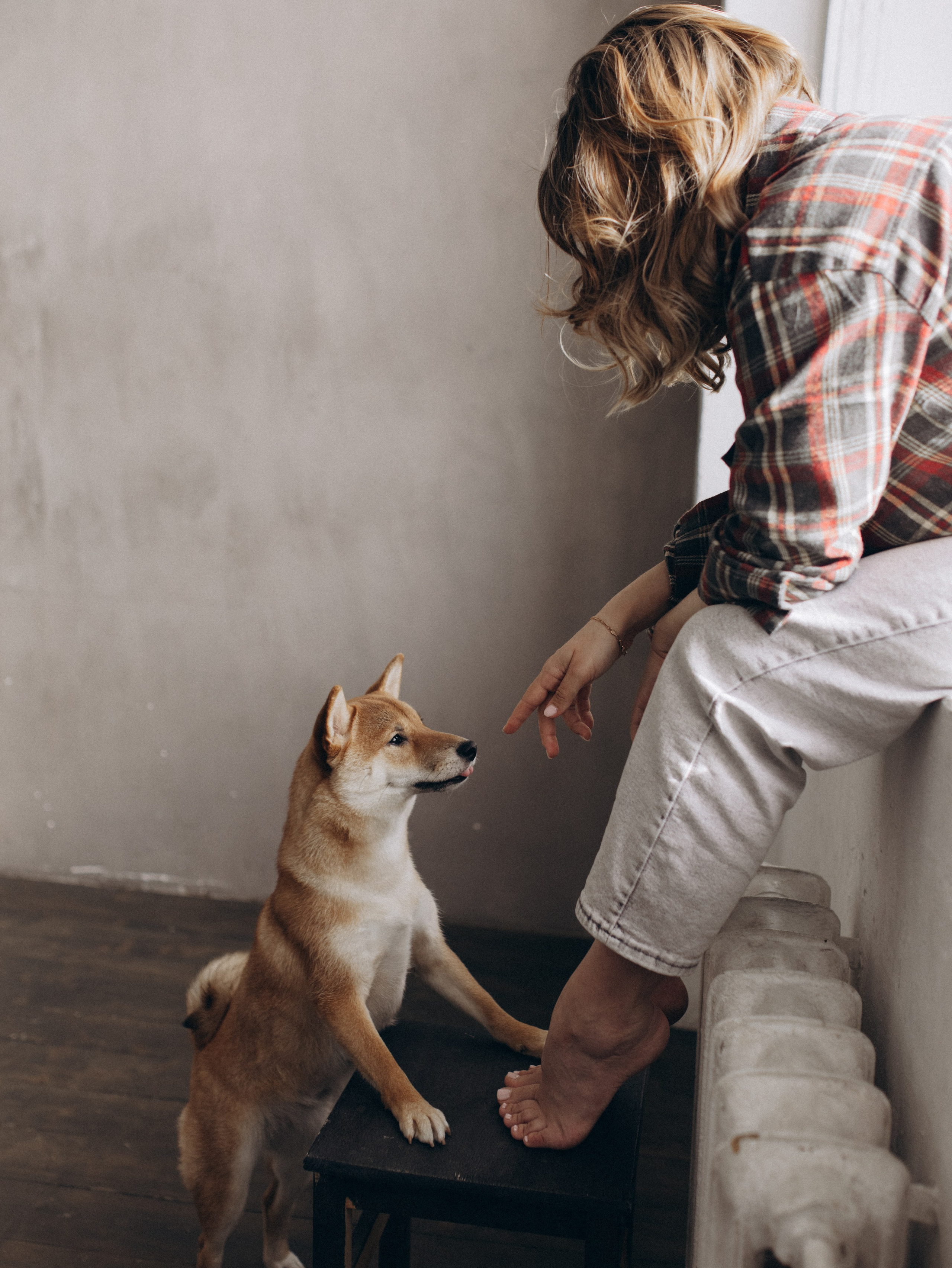 Мика и Настя. Фотограф-анималист в Москве Кириллова Татьяна