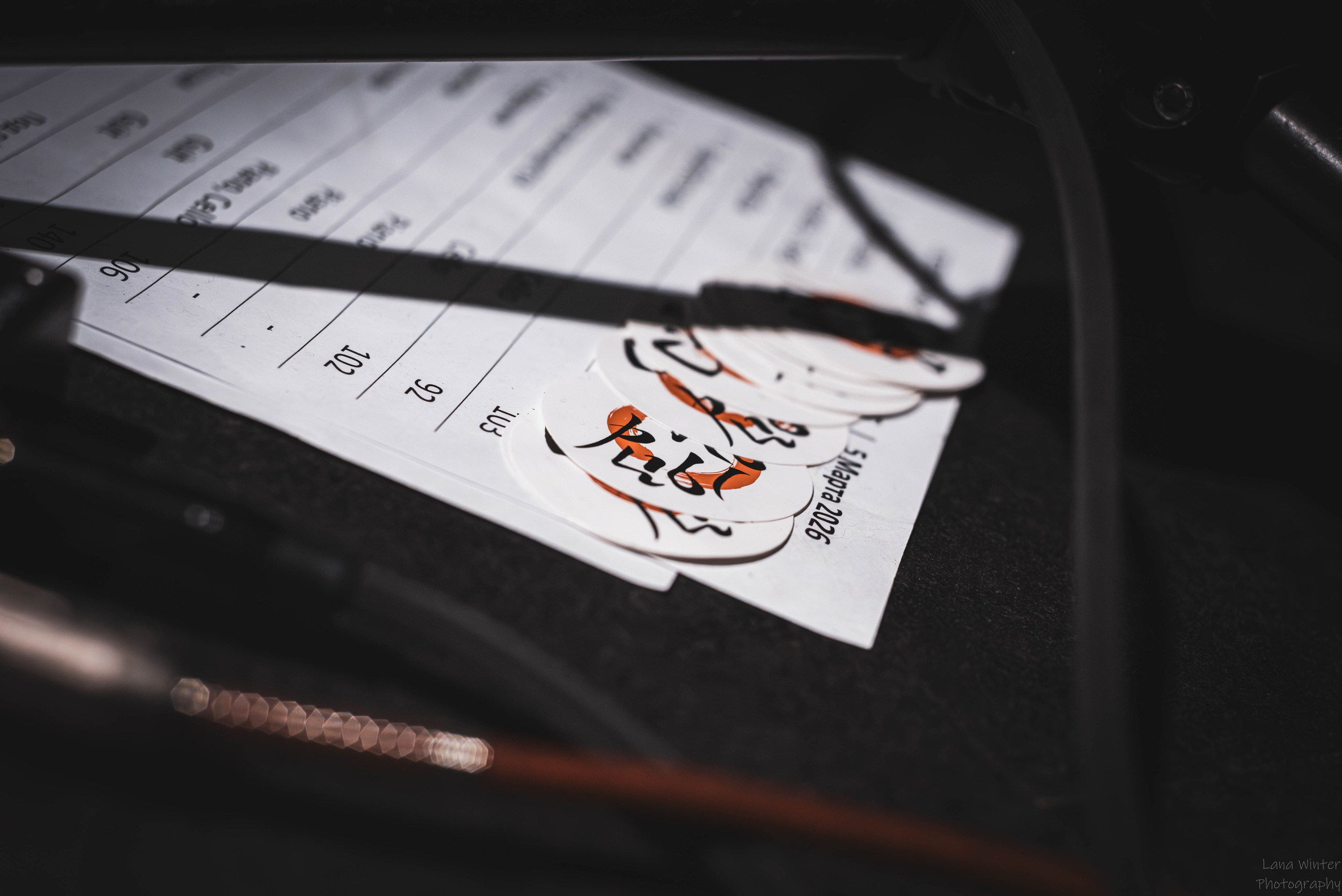 Скворцы Степанова (6 марта 2026 года, Москва, клуб Джао Да). Фотограф Светлана Блинова, Москва и Московская область