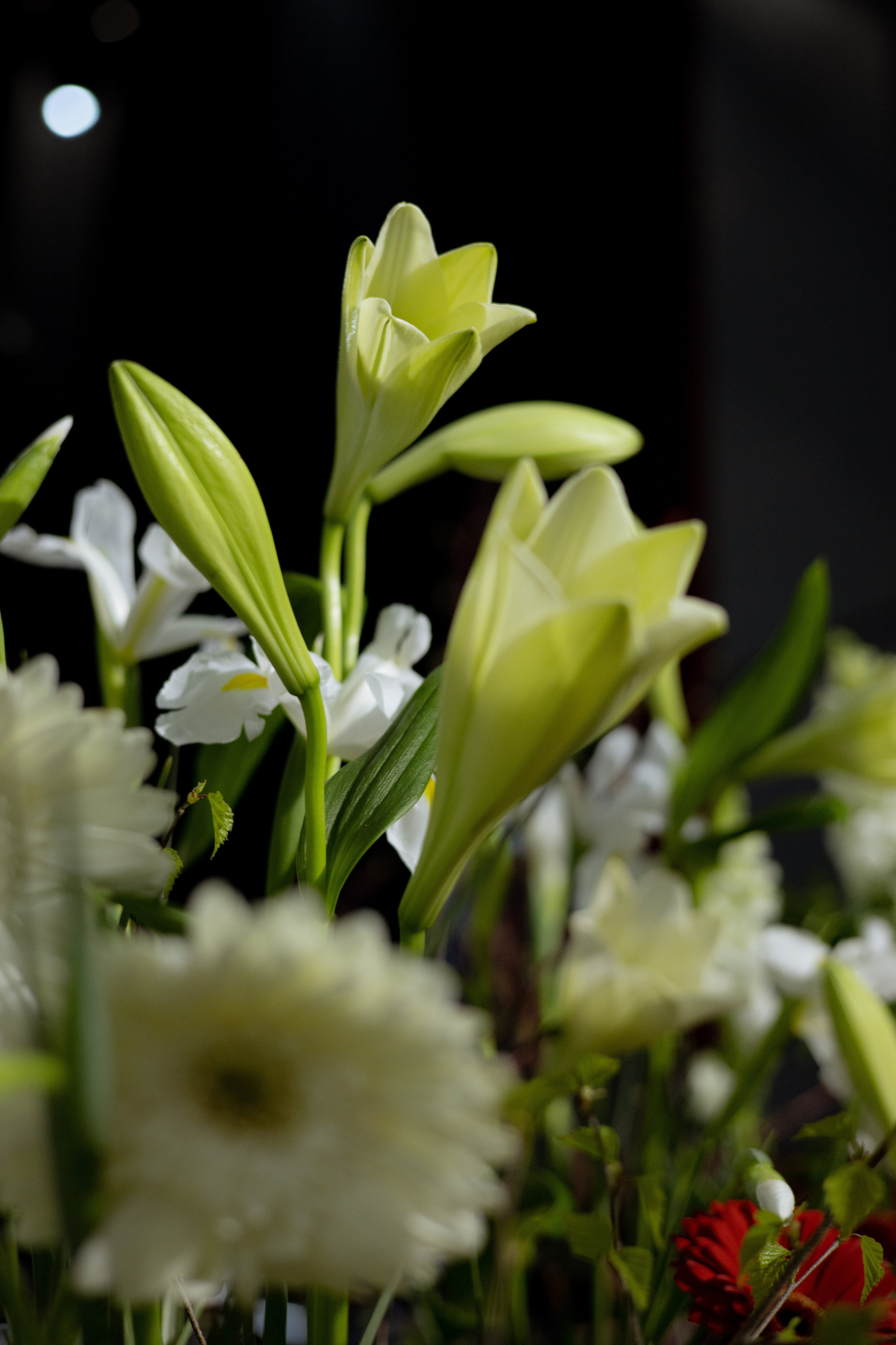 Оформление Отчетного концерта Музыкальной школы Глазунова. Оформление свадеб, декор свадеб Вера Маркова, Москва