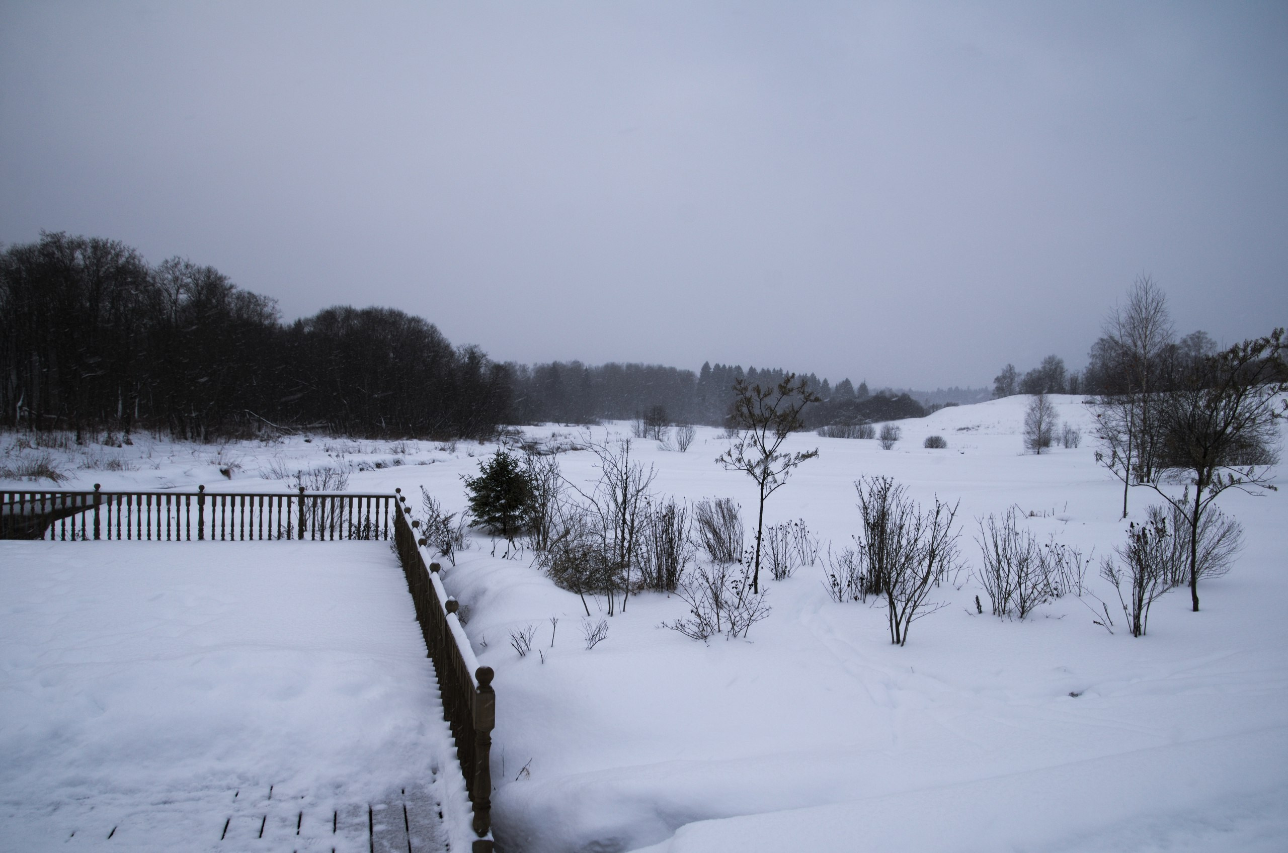 Сергиев Посад | 11.12.2016. Галерея Фантим