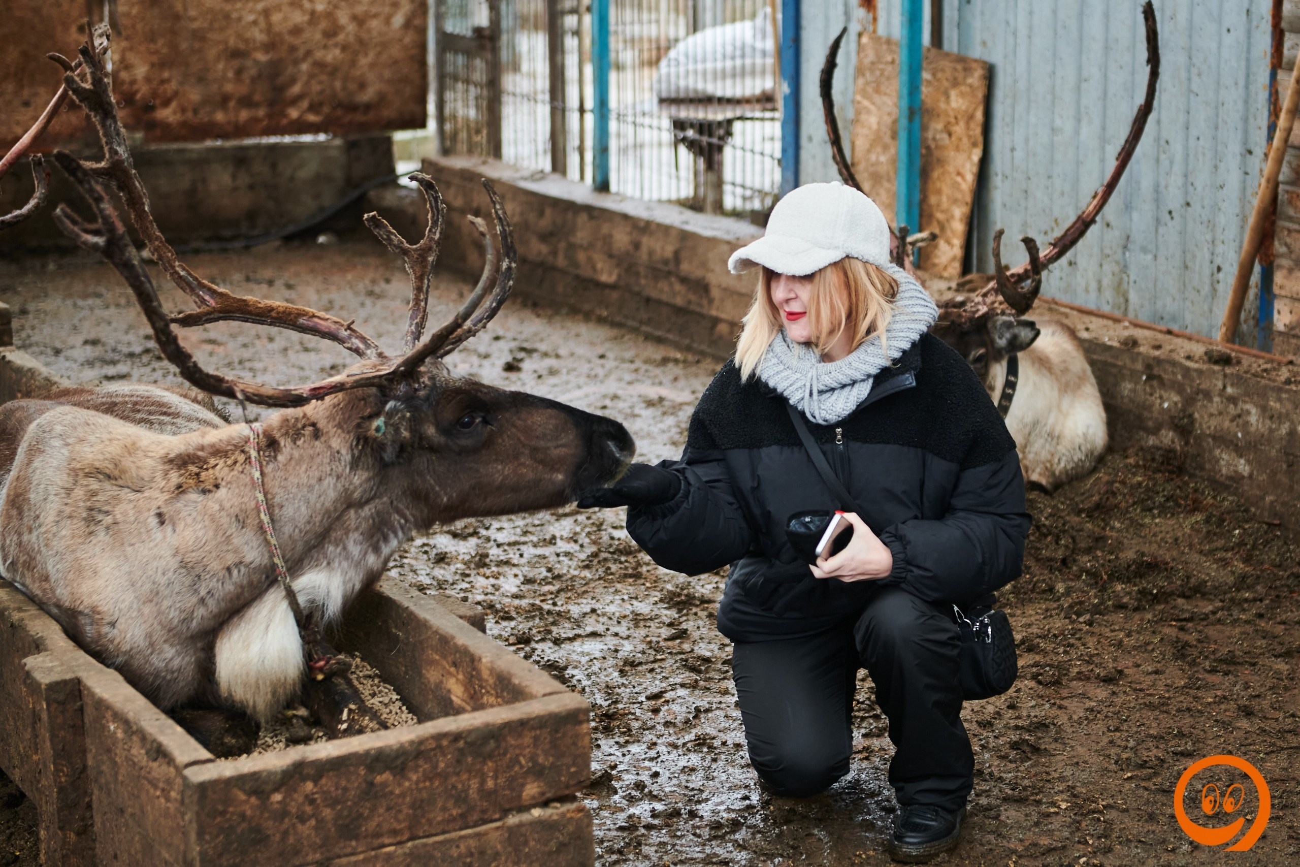 В гости к северным оленям | 18.01.2025. Галерея Фантим