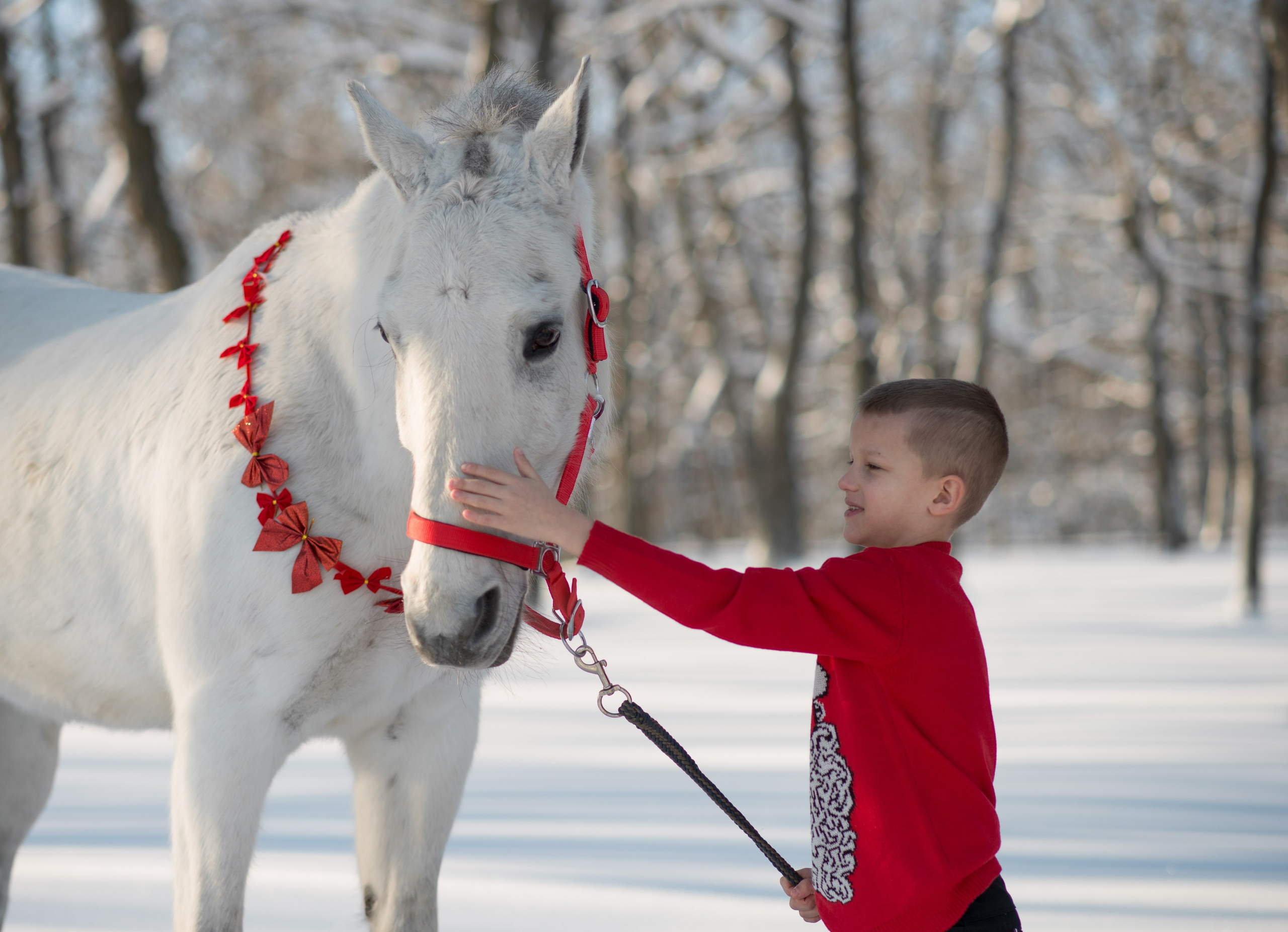 Дети и лошади. Конный фотограф в Саратове Юлия Иванова