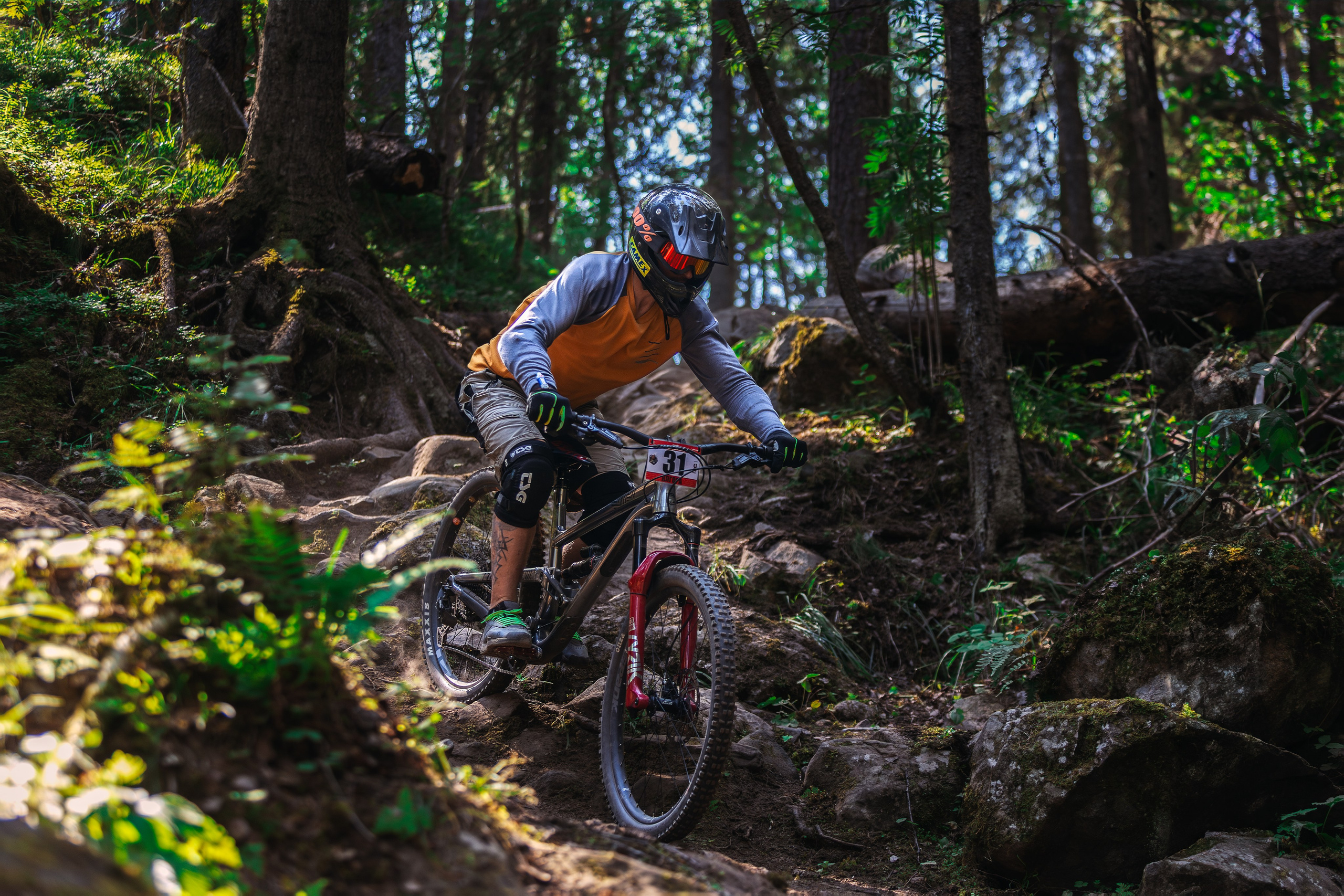 Гонка Ялгора. Фотограф анималист Никита Натальный