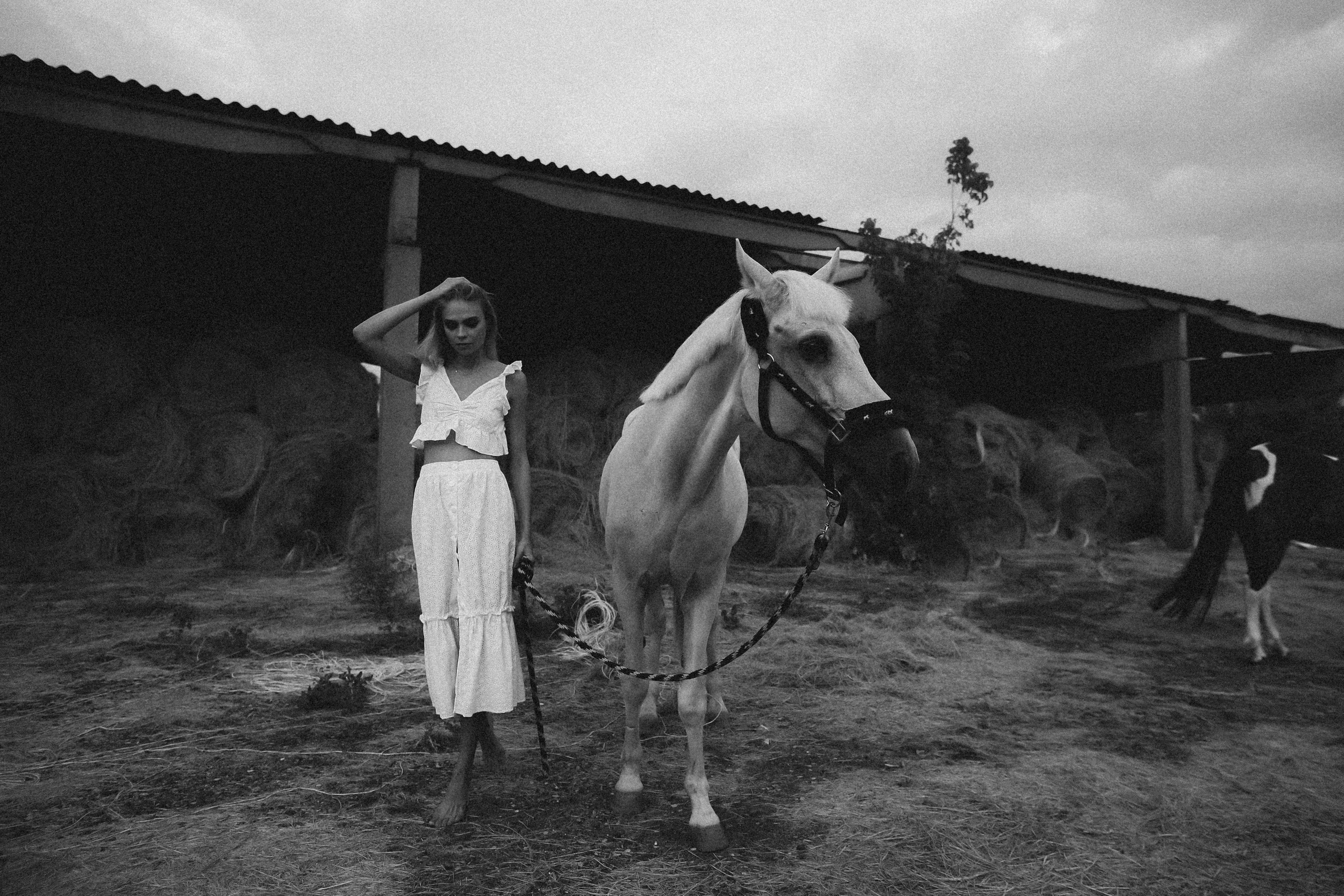 BerDesign summer"21. Бренд, контент фотограф в Волгограде Елена Даньшина