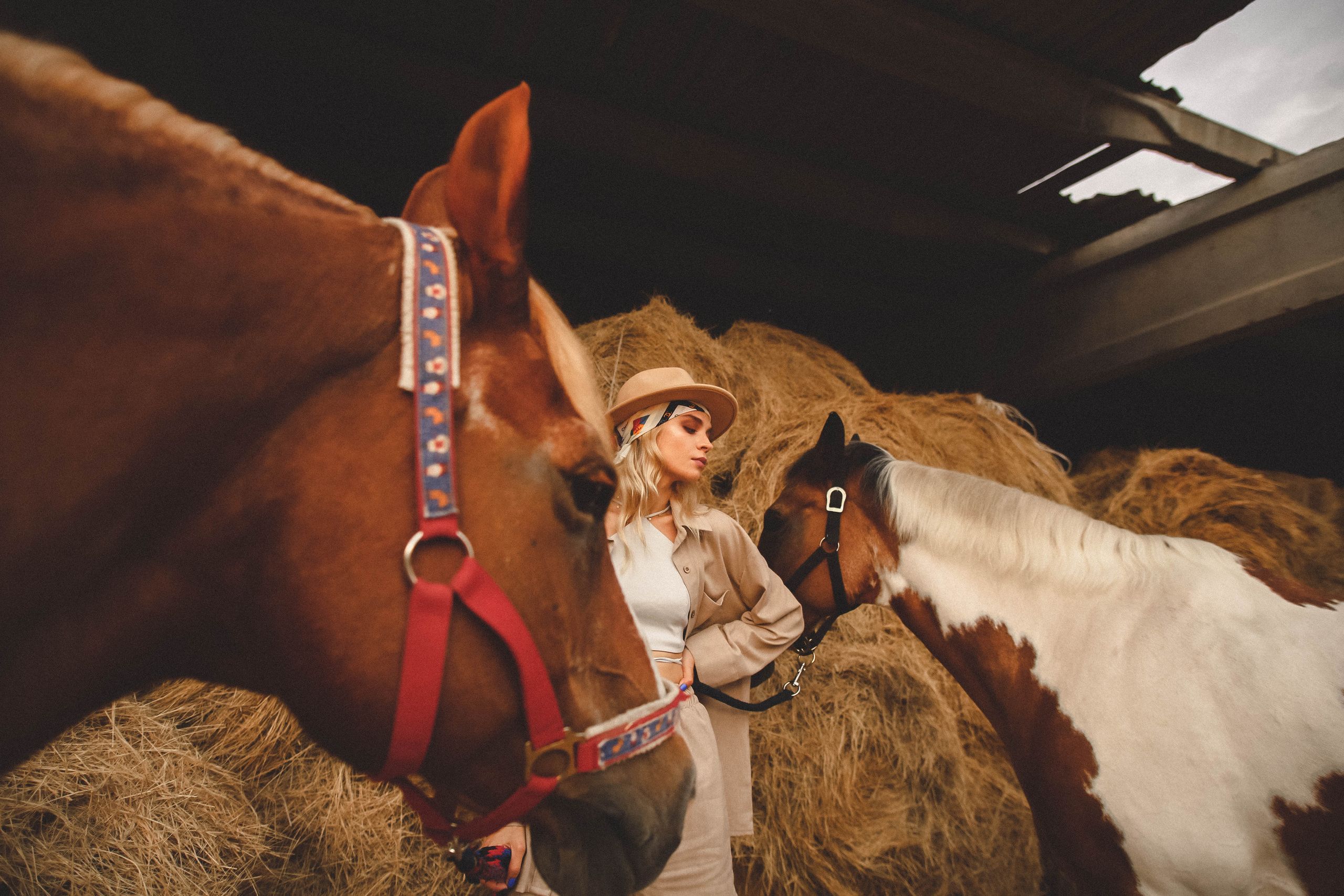 BerDesign summer"21. Бренд, контент фотограф в Волгограде Елена Даньшина