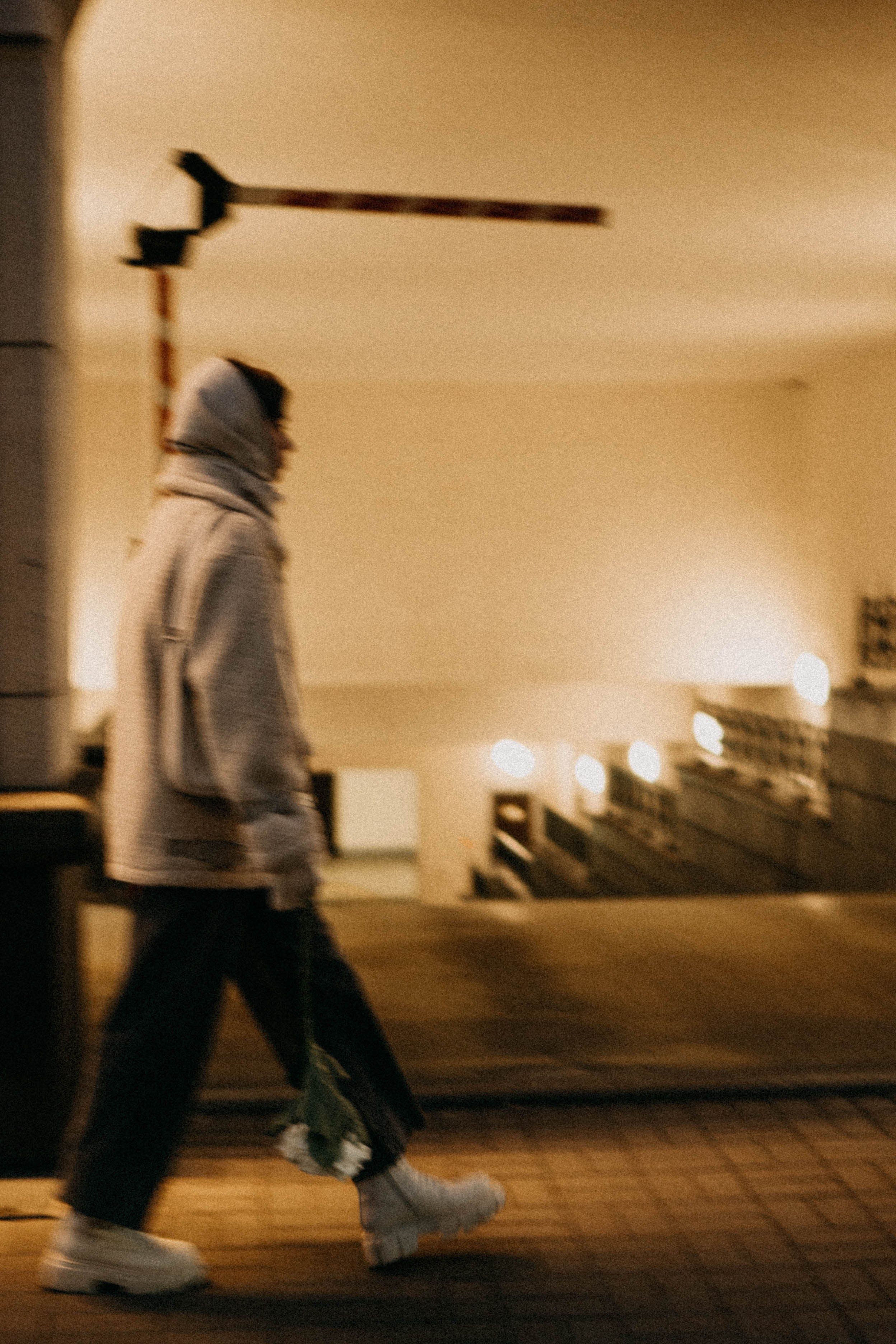 Осенняя. Профессиональный фотограф, Санкт-Петербург — Виктория Богомолова