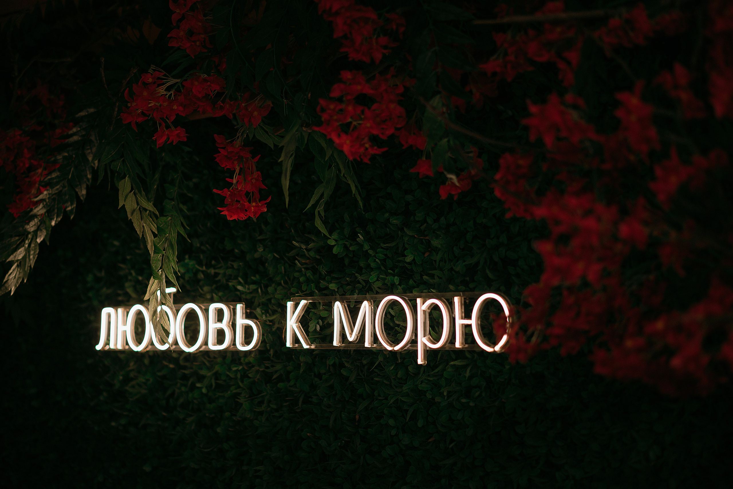 Fishkа 3 года!. Свадебный и семейный фотограф в Ростове-на-Дону Алина Астахова