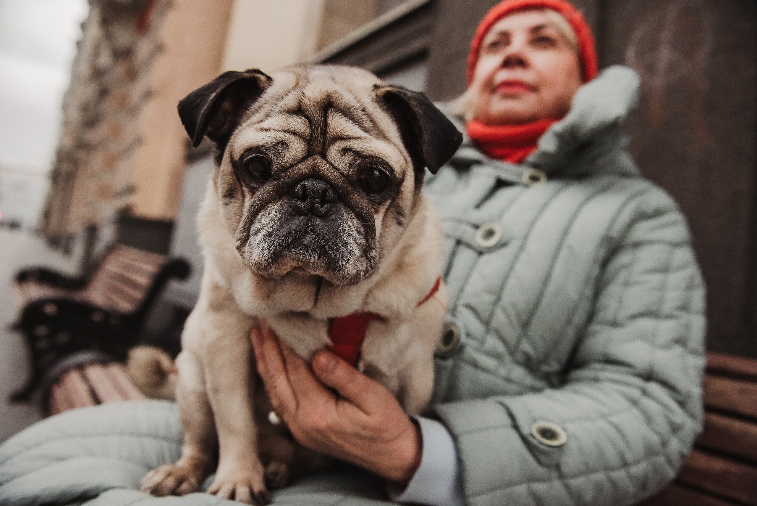 Ольга и Потапум. Прогулка к чайному дому. Семейный Фотограф в Москве Ирина Хохлова