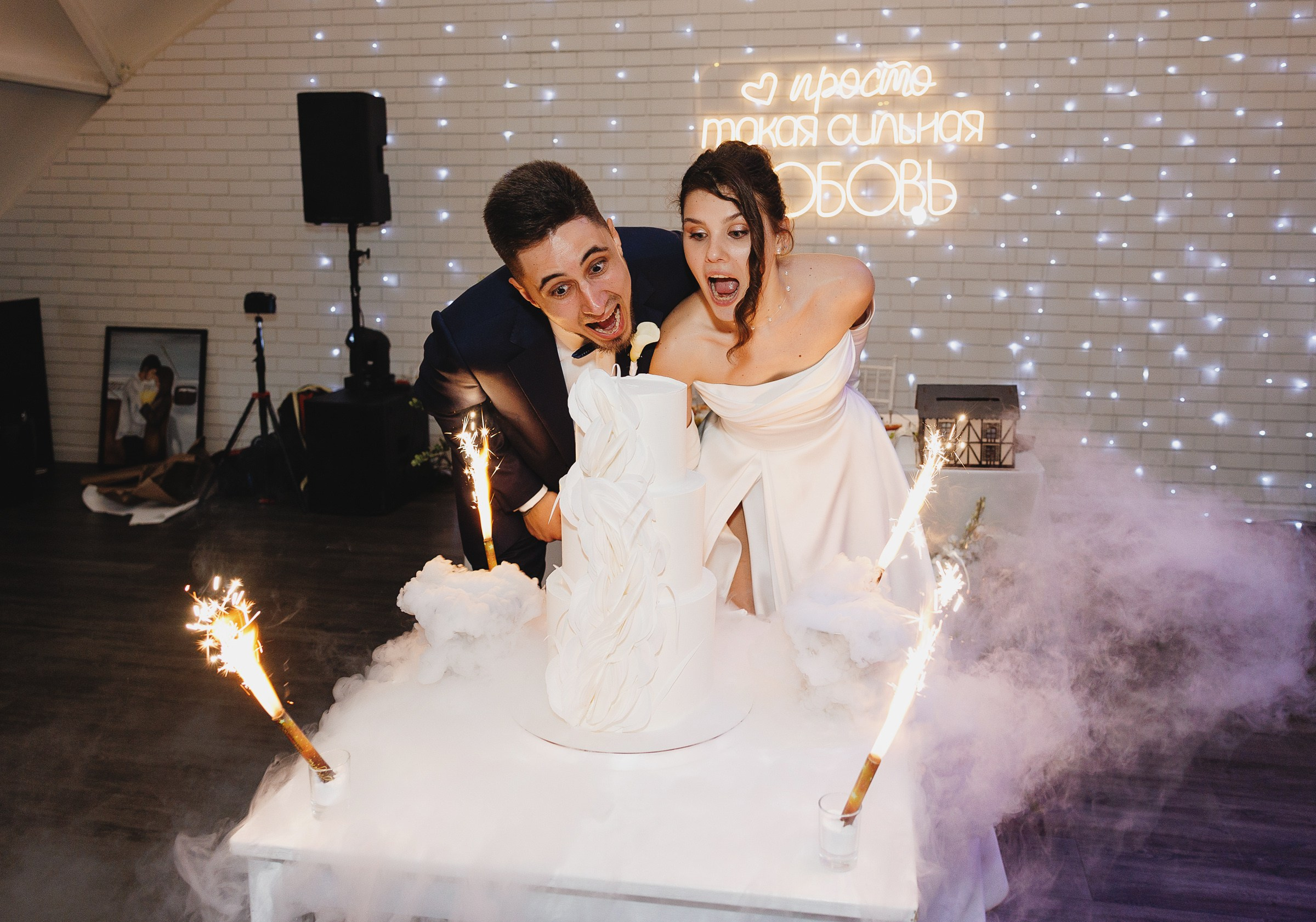 Александр и Анна. Свадебный фотограф и видеограф Дмитрий Горяченков