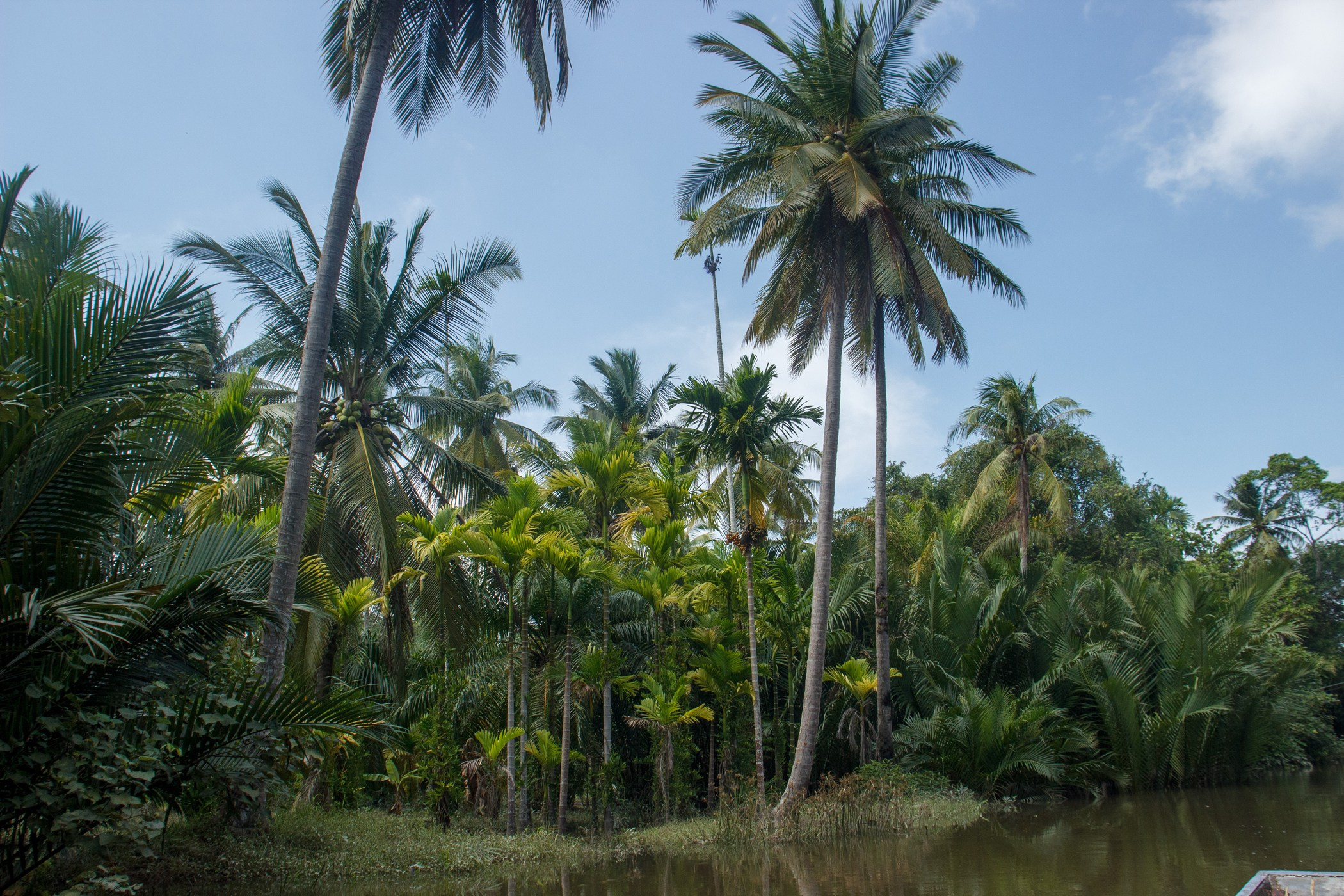 Сураттхани. Photographer in Phuket