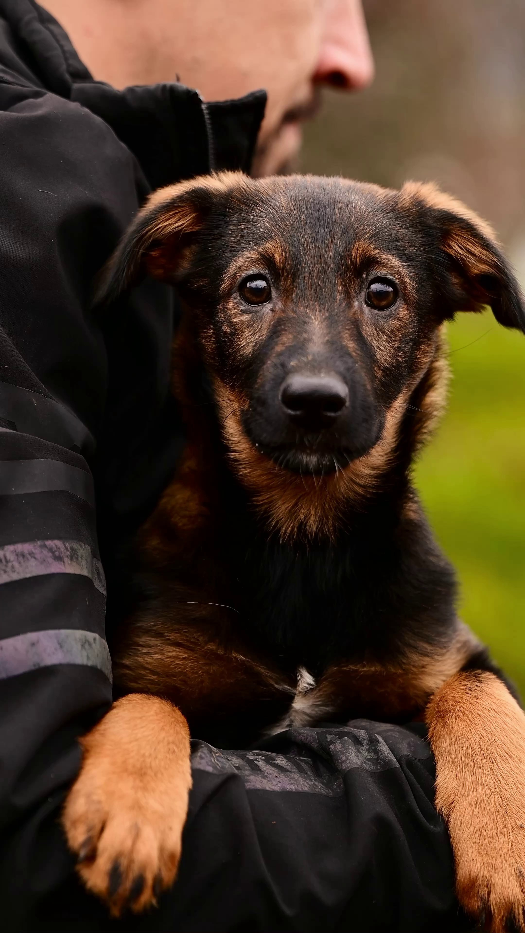 Съёмка для волонтёров (видео). Мила Астахова