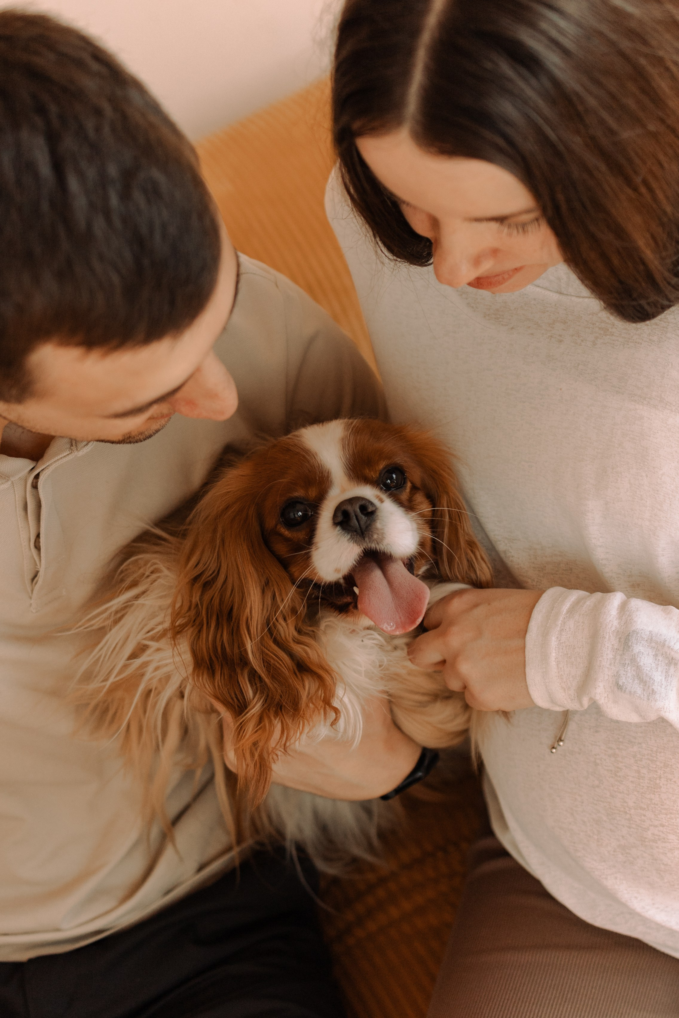 Шерри и ее семья. Фотограф — Анималист | Санкт-Петербург