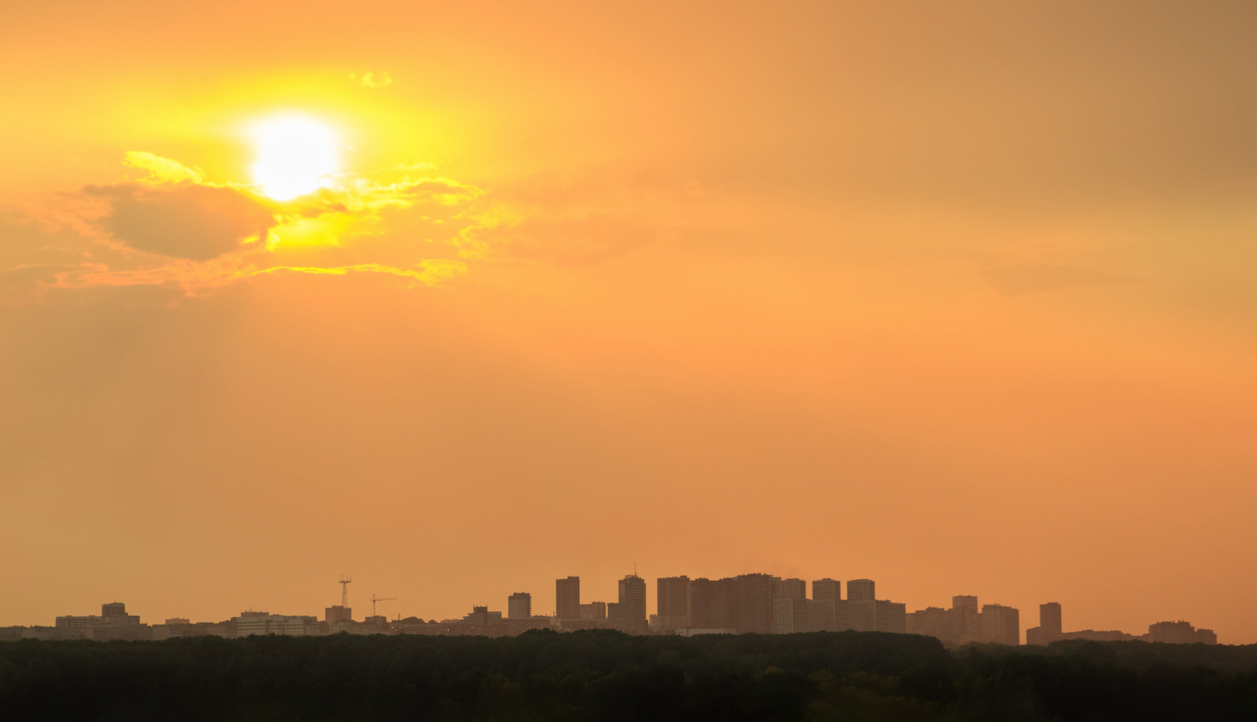 Природа и пейзажи / Nature and landscapes. Visual artist Olga Burmistrova