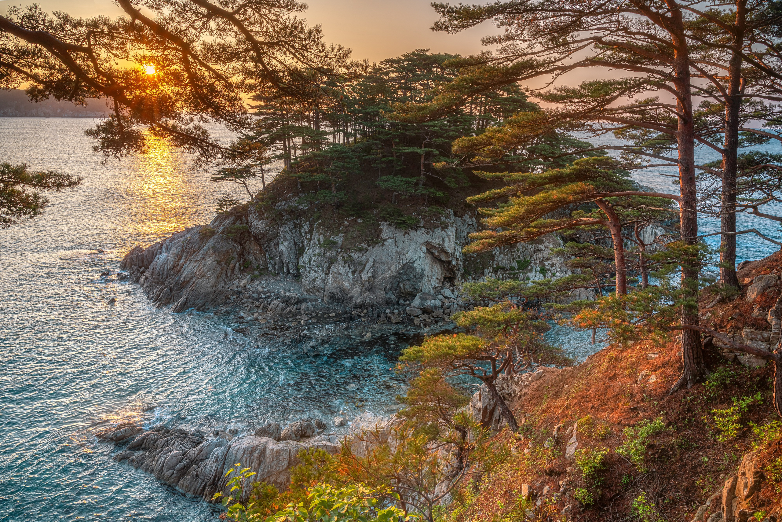 Весеннее Приморье. Май