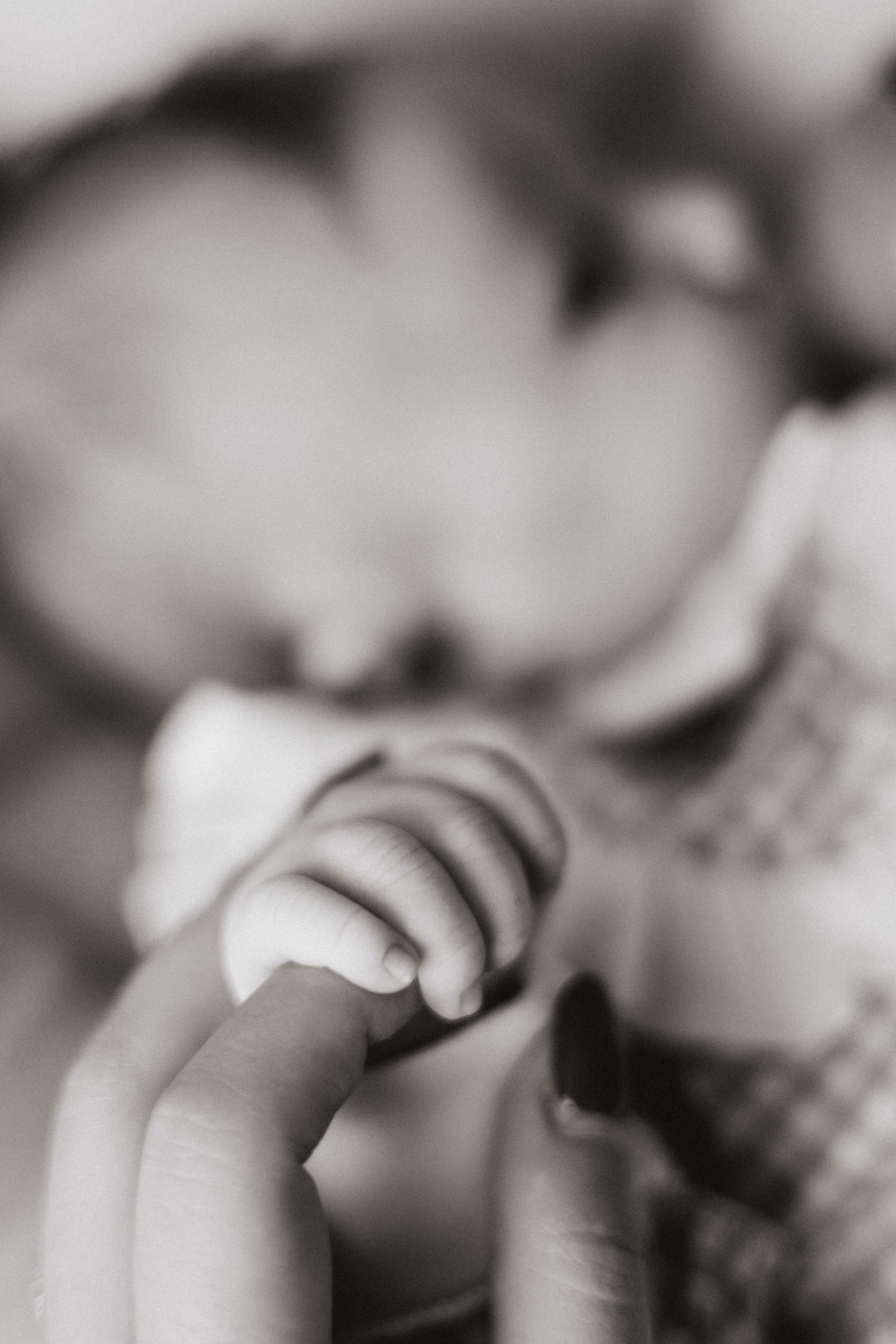 Miay. Свадебный и семейный фотограф в Краснодаре Диана Смирнова