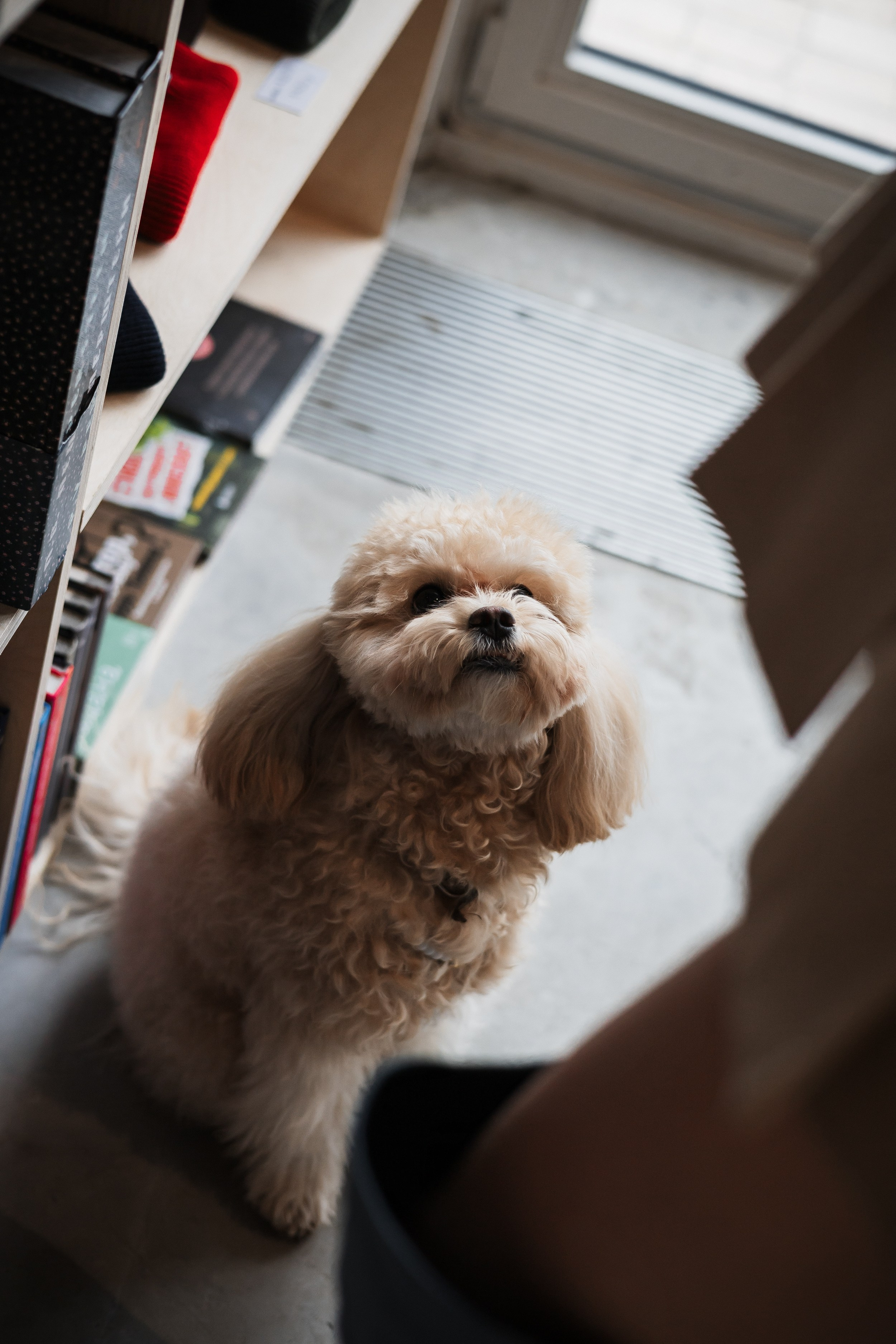 Алина — прогулка