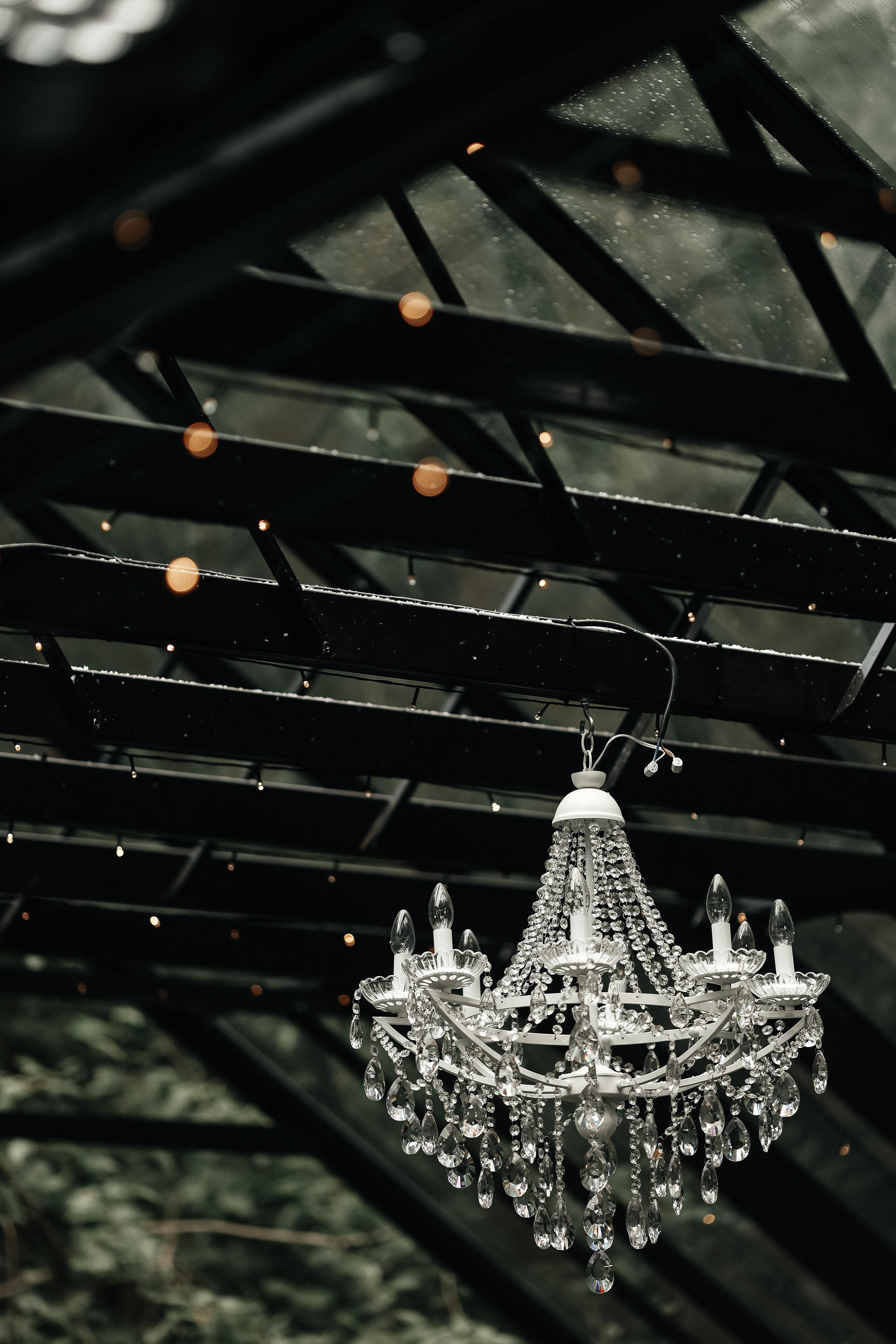 Forest dew reportage. Свадебный фотограф FOTOKEYT