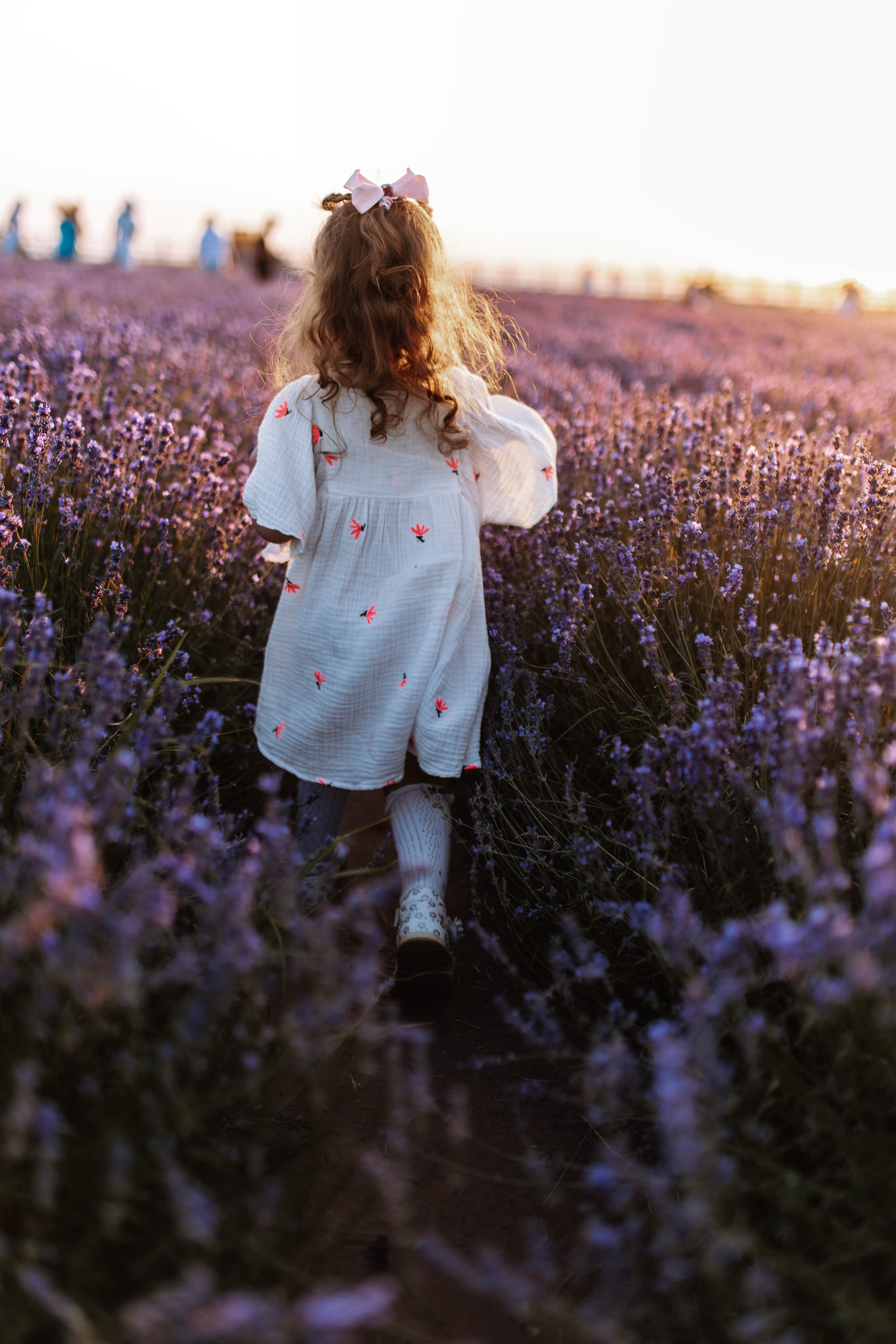 Семейная прогулка в Лаванде | Фотодень Лаванда. Фотограф в Ставрополе Алина Клочкова