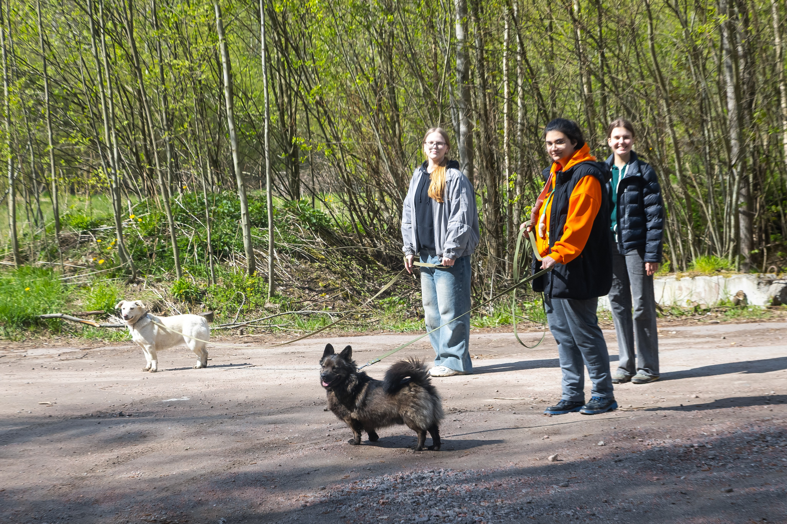 Petshop Забота. Фотограф в Санкт-Петербурге Чумаков Семен