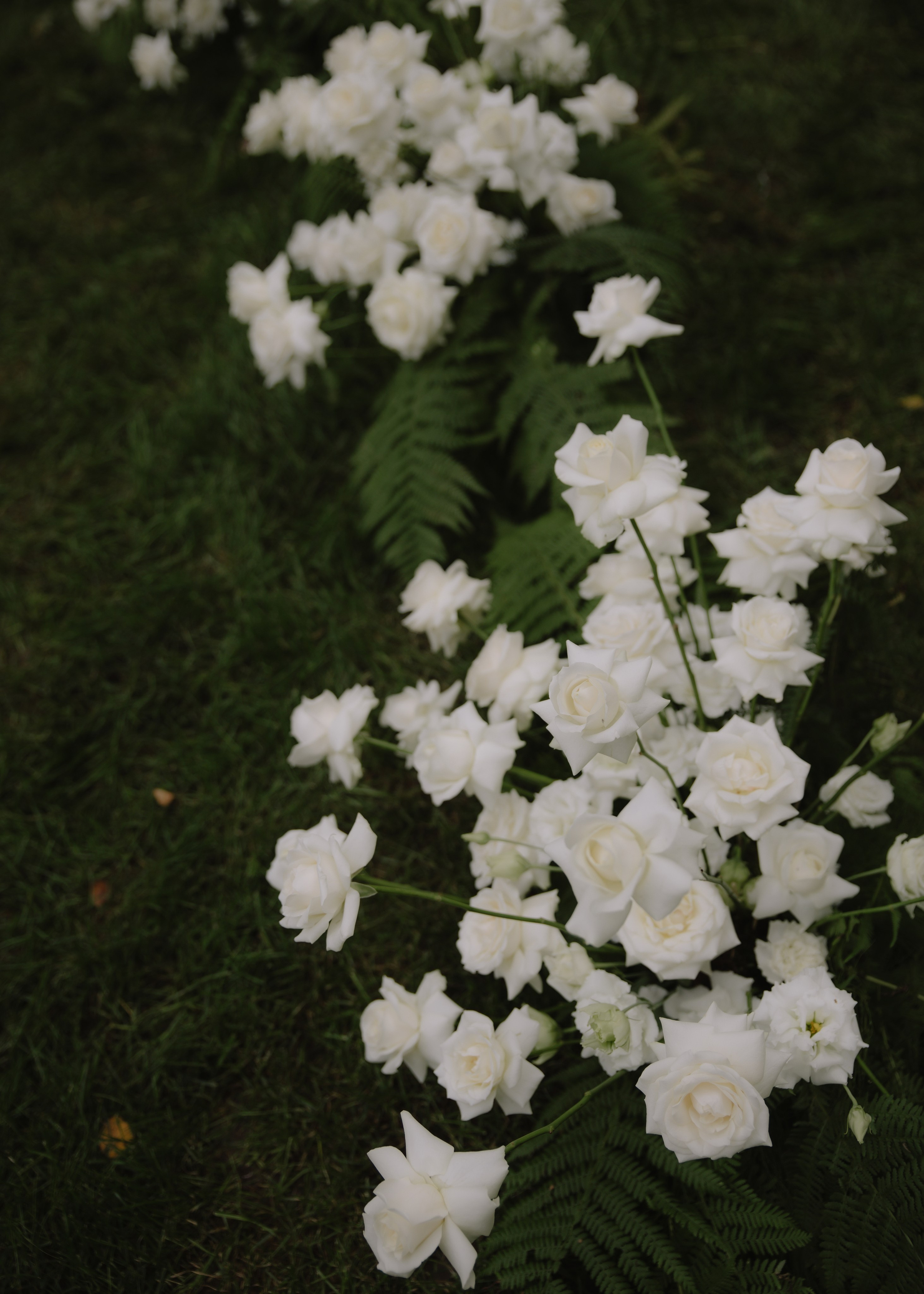 Михаил & Марина. Свадебный фотограф Москва и Подмосковье