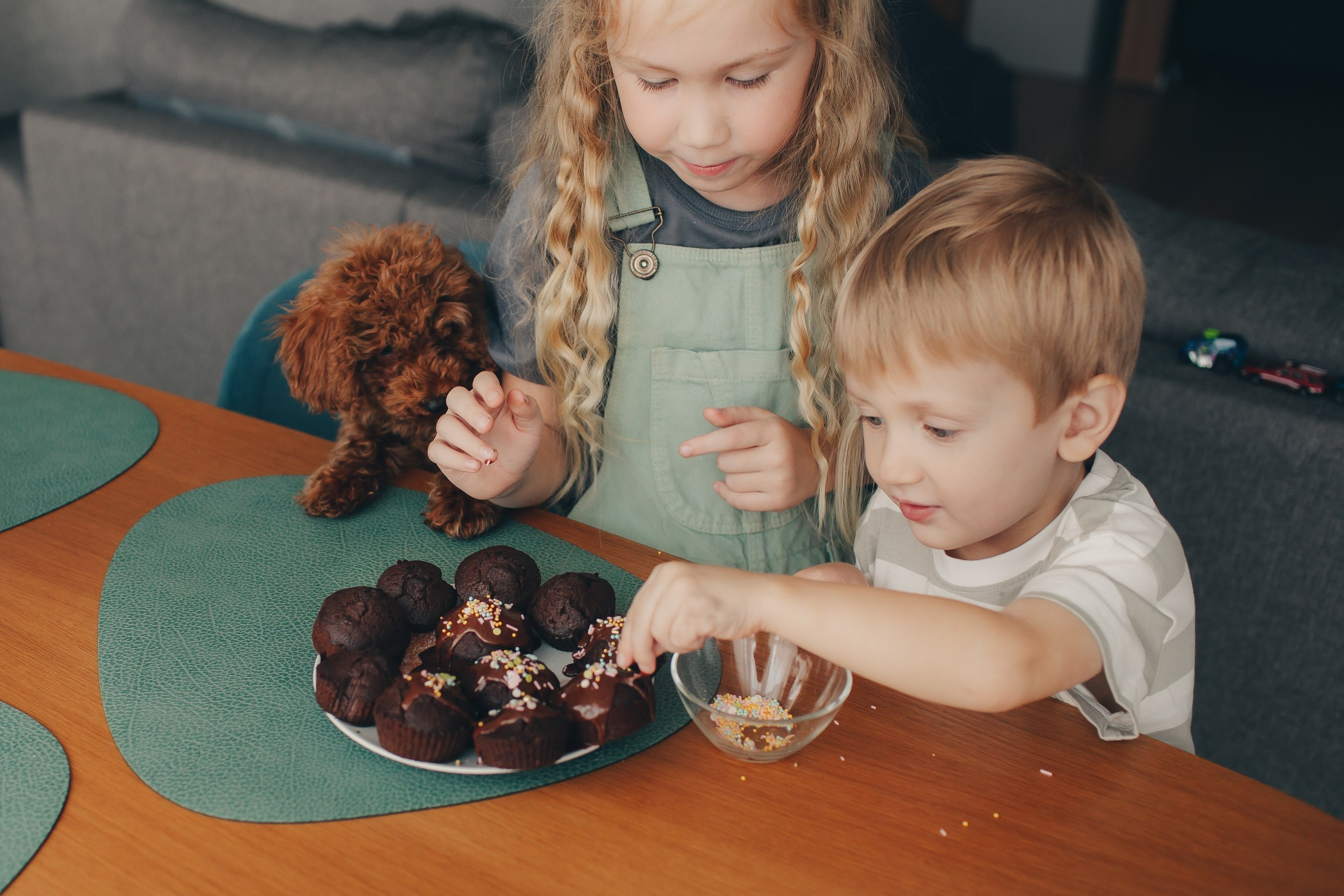 Семейная фотосессия со щенком. Фотограф Евгения Мальцева, Архангельск