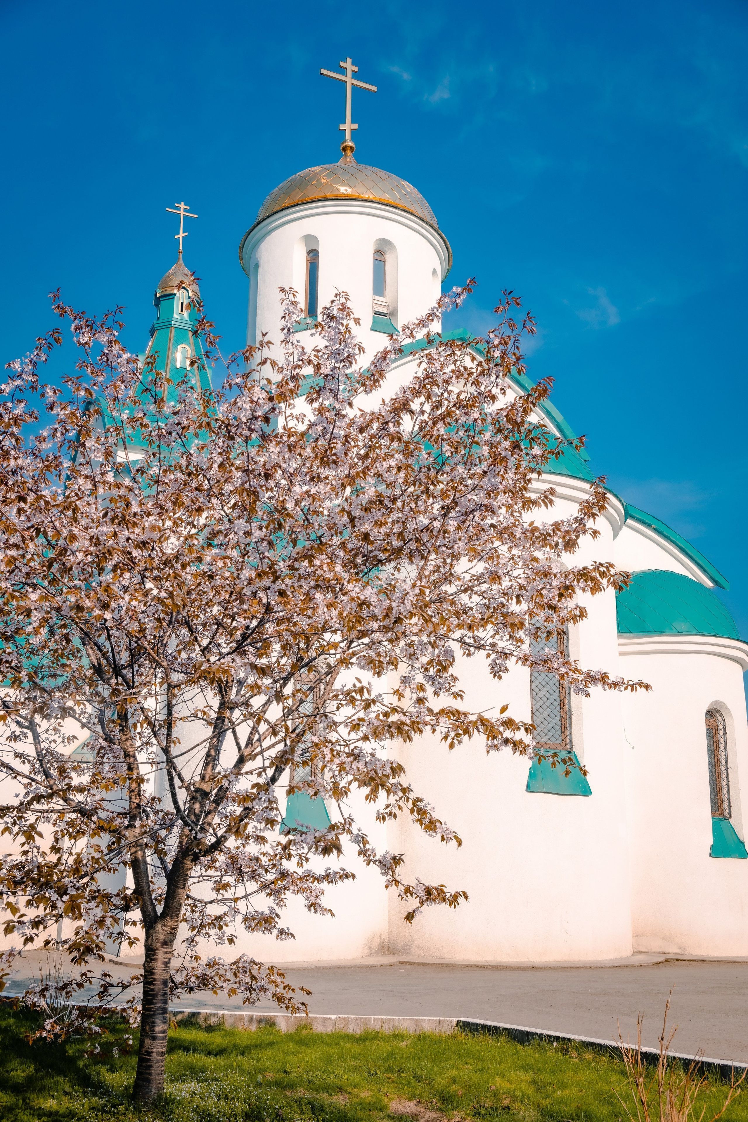 О.Сахалин. Фотограф. г. Южно-Сахалинск. Олег Толстов