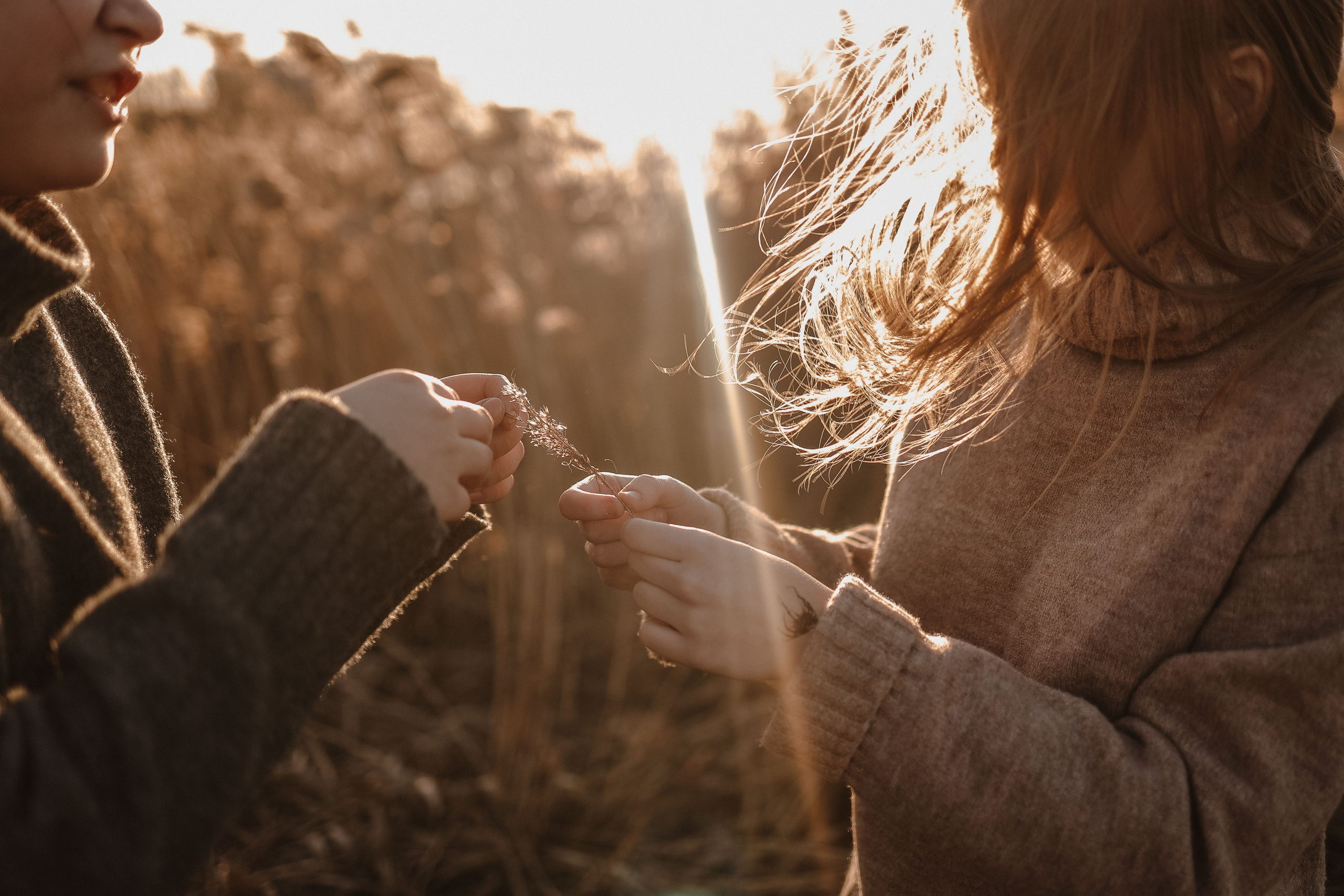 SPRING. ВЕСНА. Фотограф Алена Малинина в Санкт-Петербурге Пушкин Питер СПб Семейные и детские фотосессии